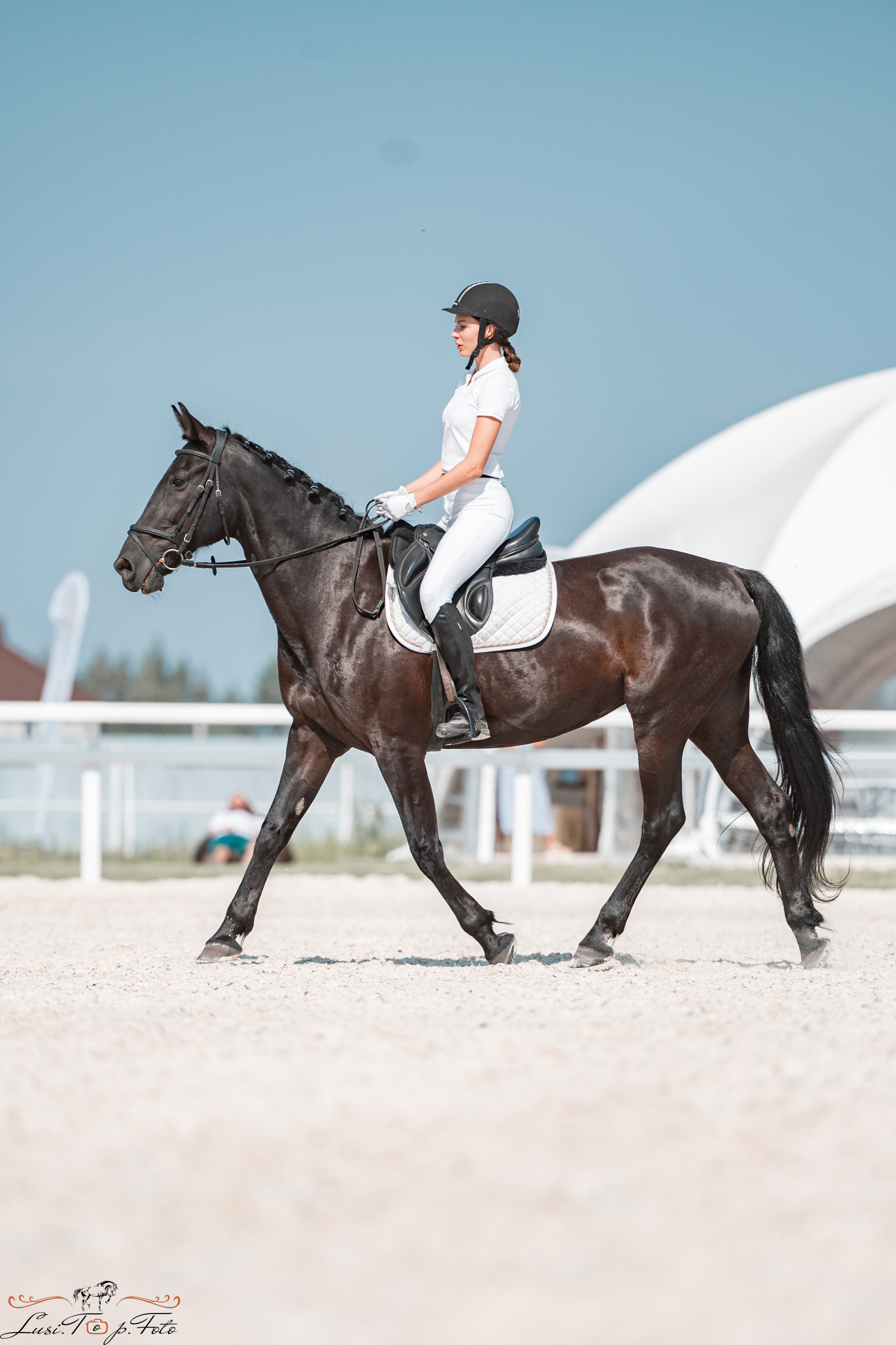 «Областные соревнования на призы Конного Клуба EQUIPARK» ВЫЕЗДКА. Конный и фотограф с животными в Твери Топталова Люся