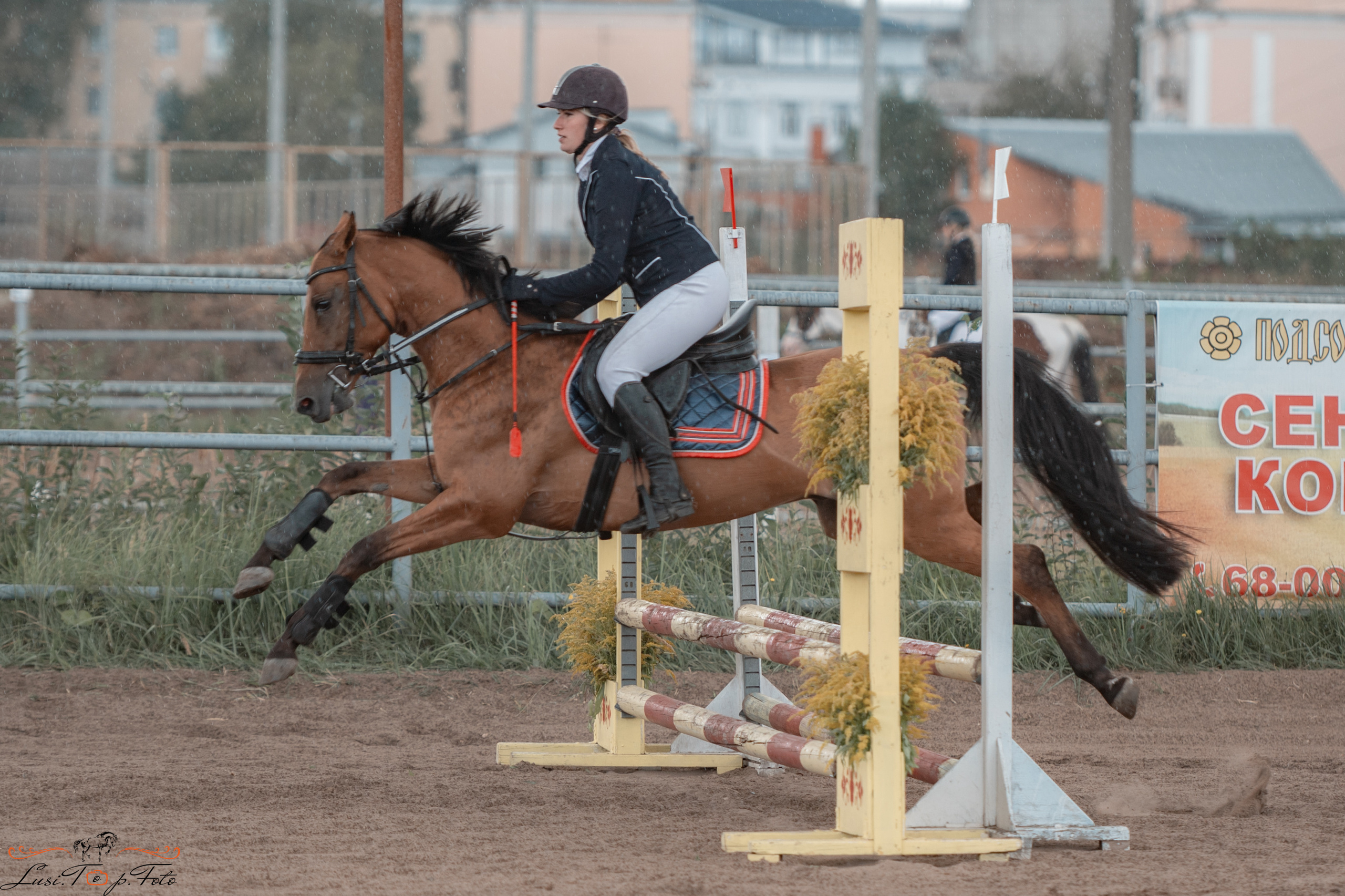 Конкур. Чемпионат и Первенство Тверской области. Конный и фотограф с животными в Твери Топталова Люся