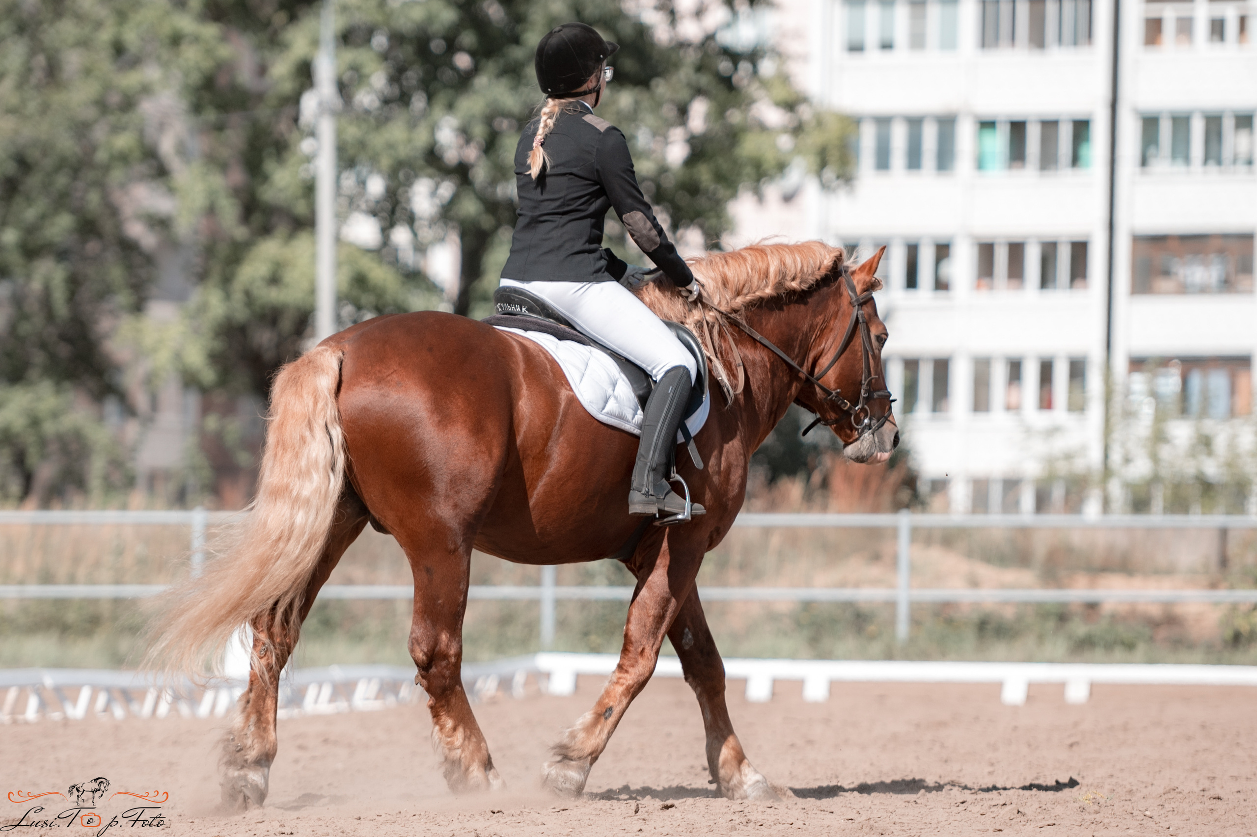 Выездка. Чемпионат и Первенство Тверской области. Конный и фотограф с животными в Твери Топталова Люся