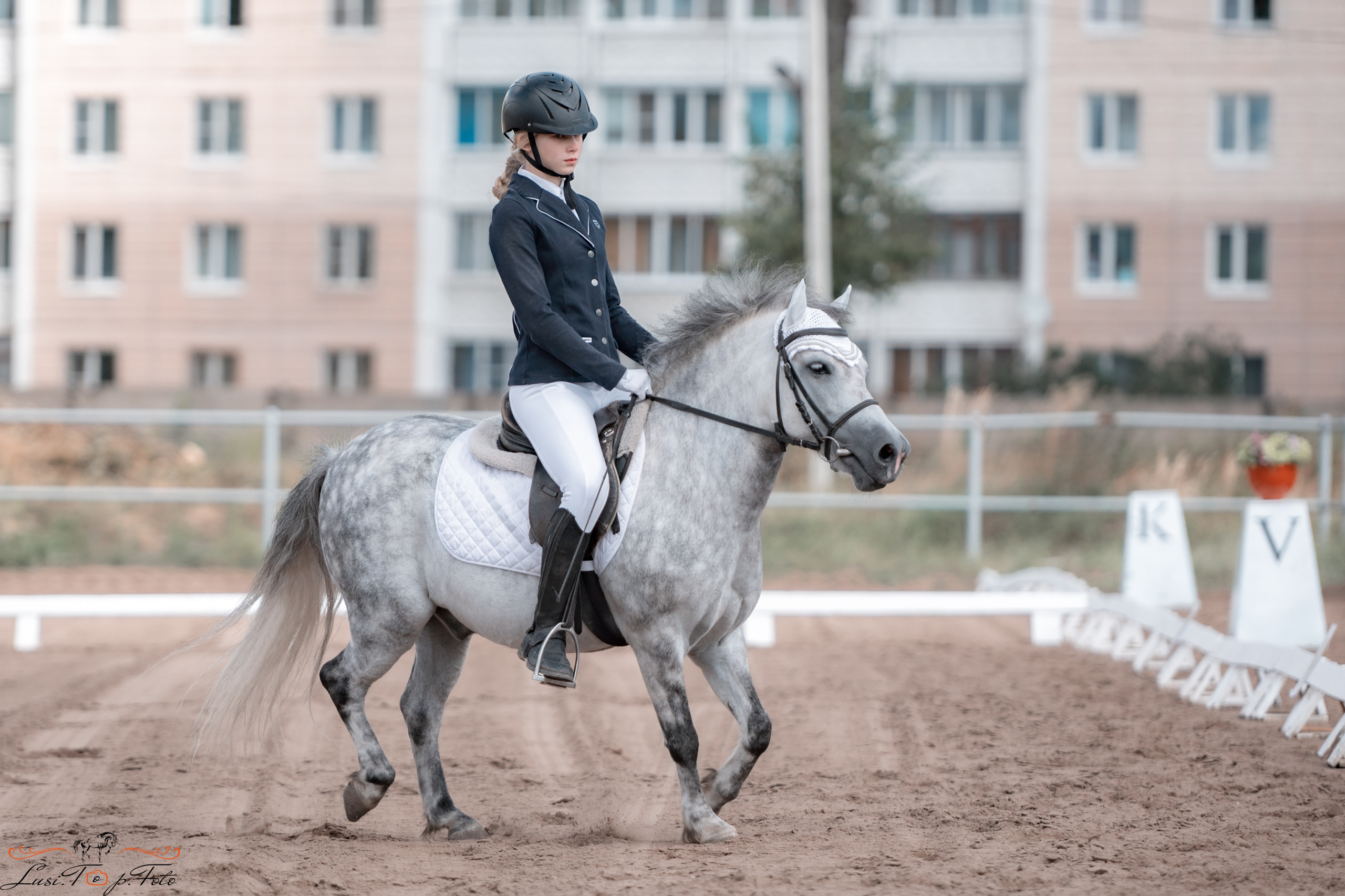 Выездка. Чемпионат и Первенство Тверской области. Конный и фотограф с животными в Твери Топталова Люся