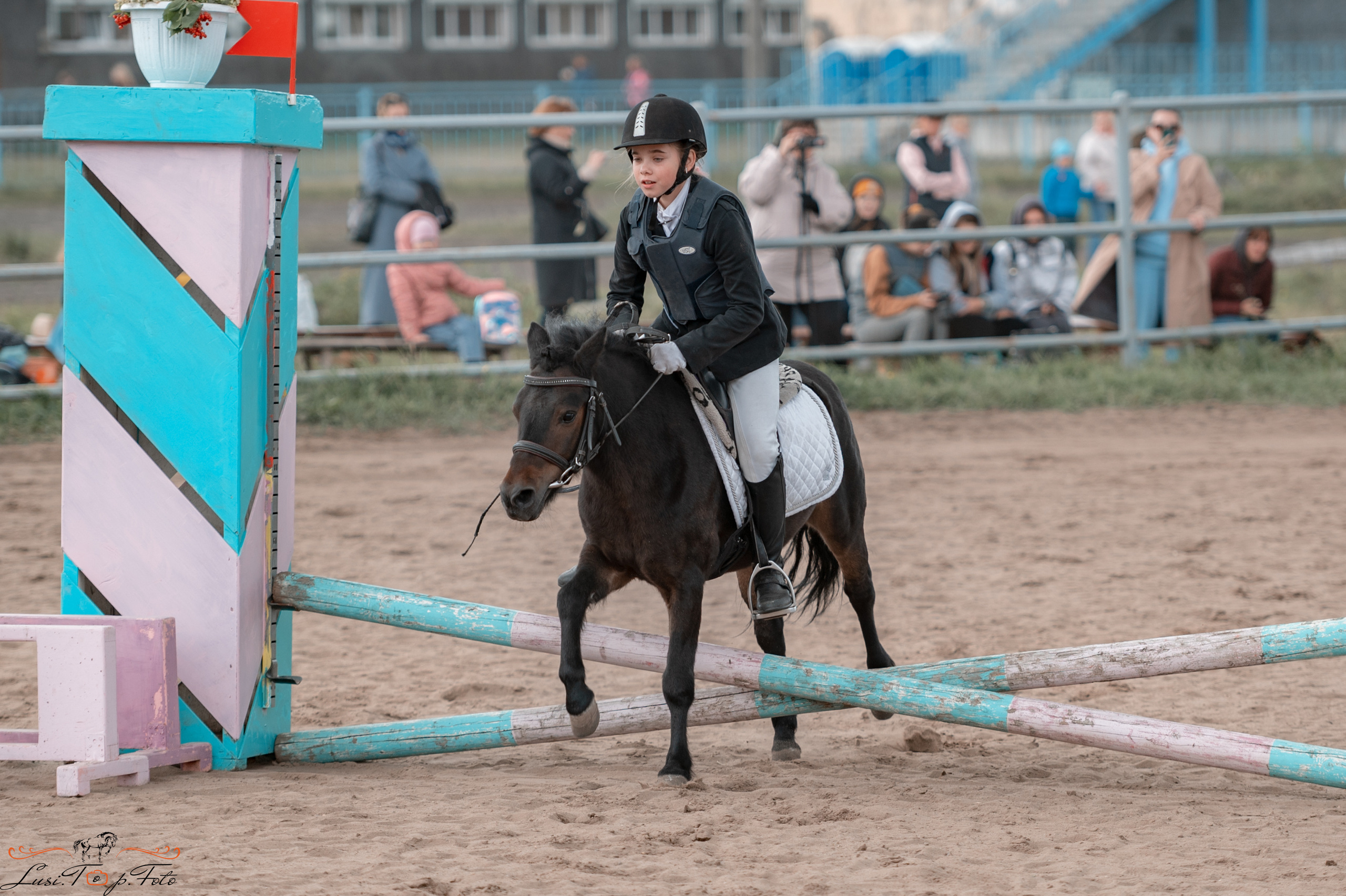 Конкур. Чемпионат и Первенство Тверской области. Конный и фотограф с животными в Твери Топталова Люся