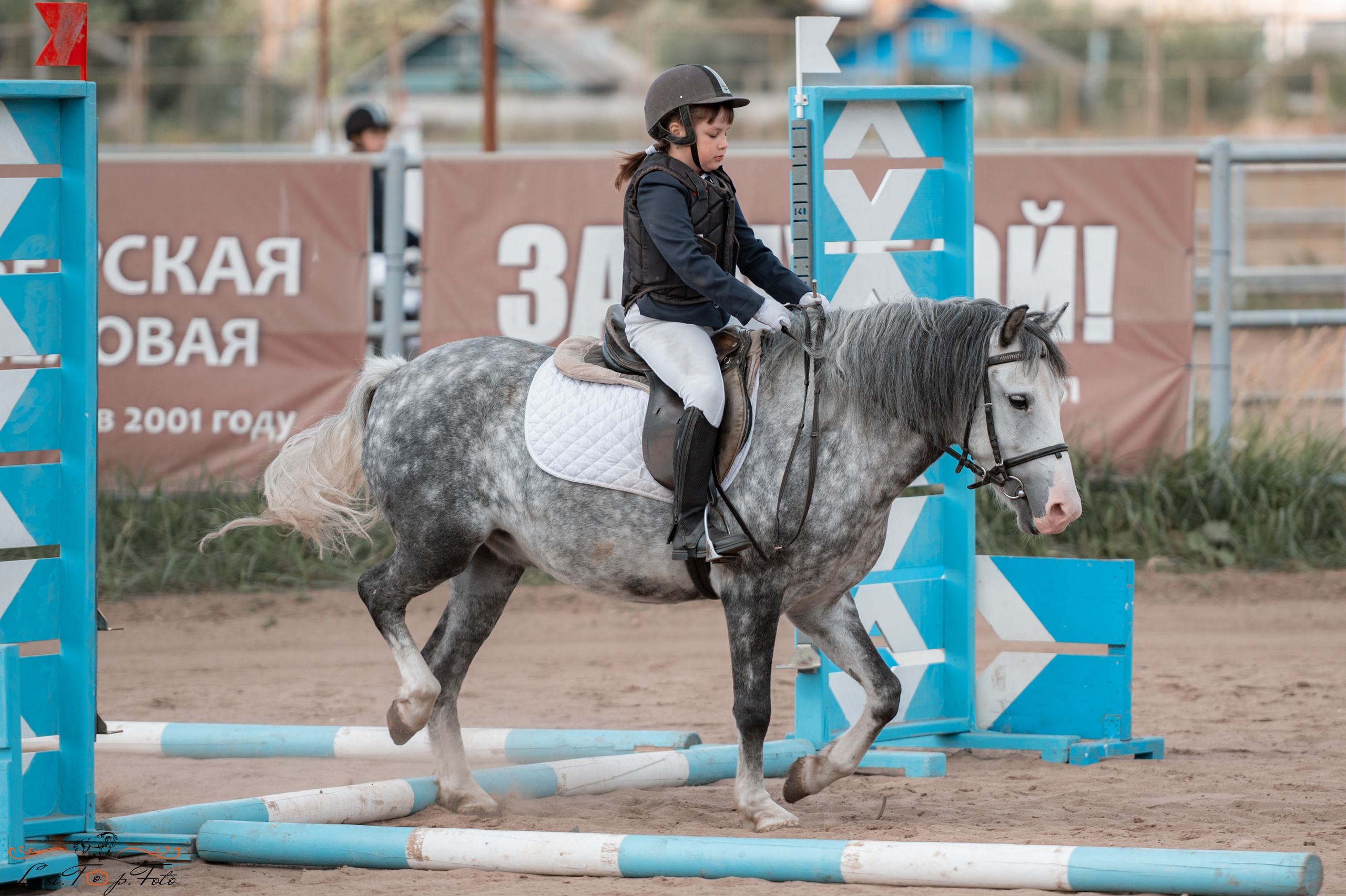 Конкур. Чемпионат и Первенство Тверской области. Конный и фотограф с животными в Твери Топталова Люся