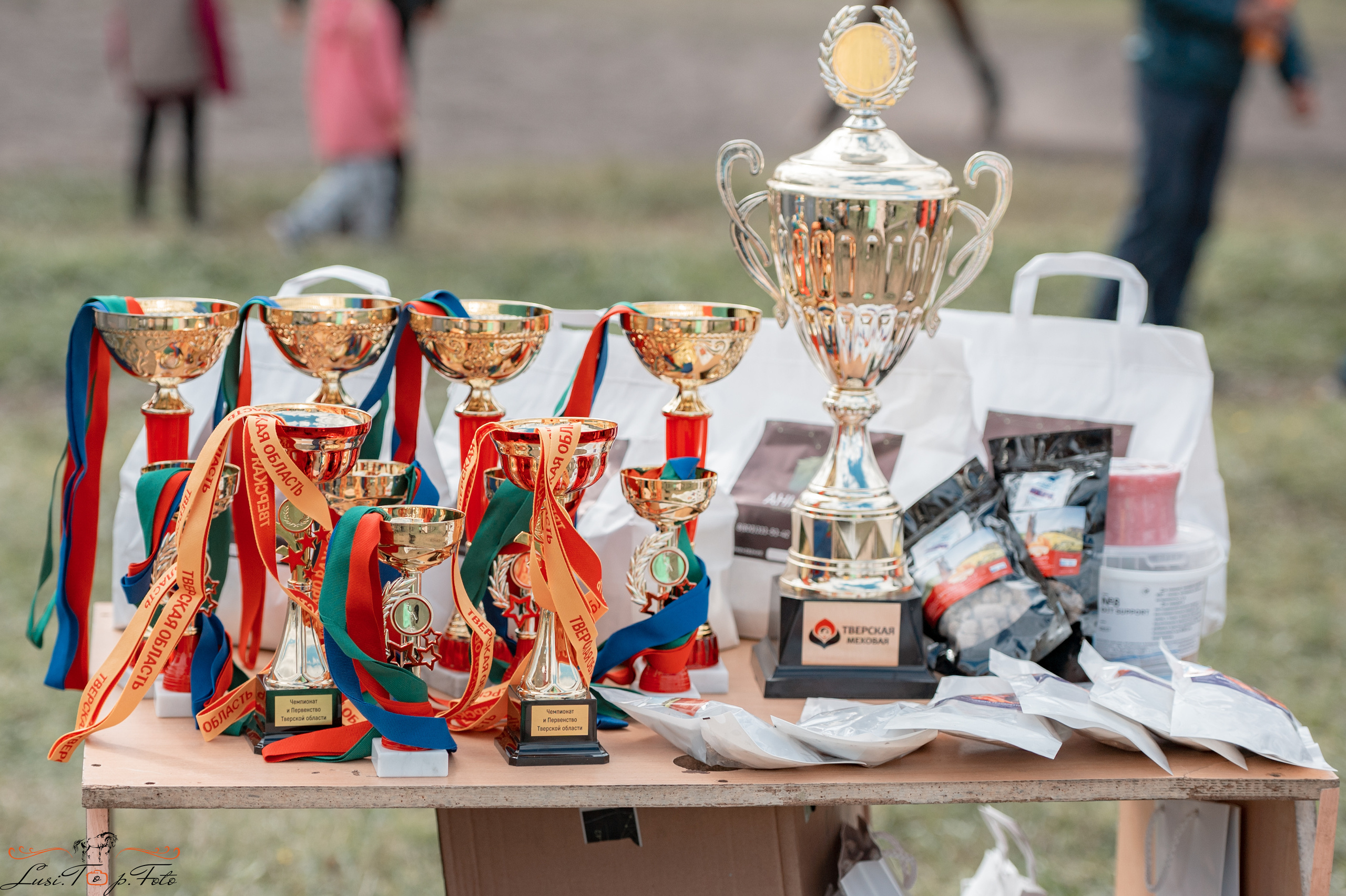 Конкур. Чемпионат и Первенство Тверской области. Конный и фотограф с животными в Твери Топталова Люся