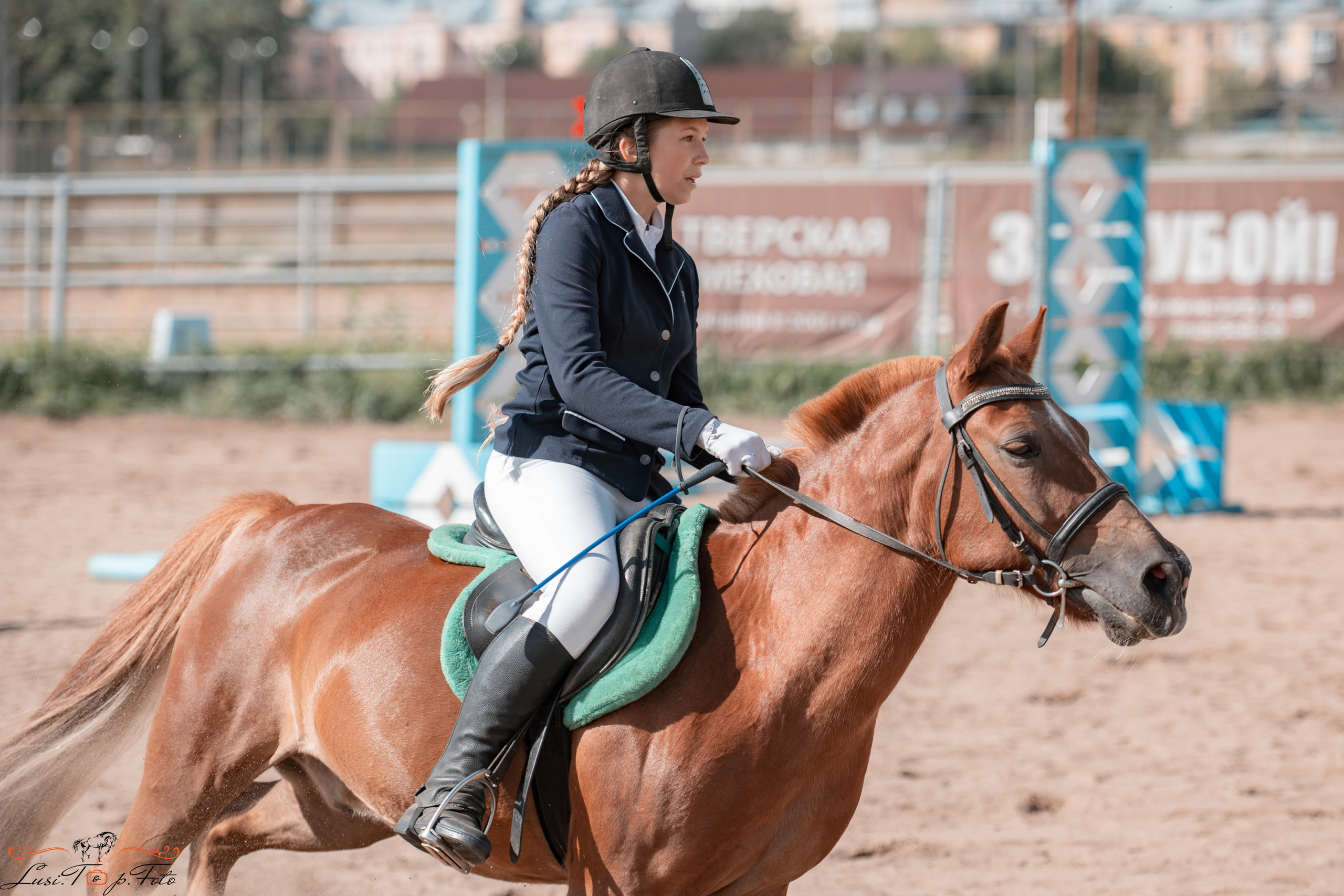 Конкур. Чемпионат и Первенство Тверской области. Конный и фотограф с животными в Твери Топталова Люся