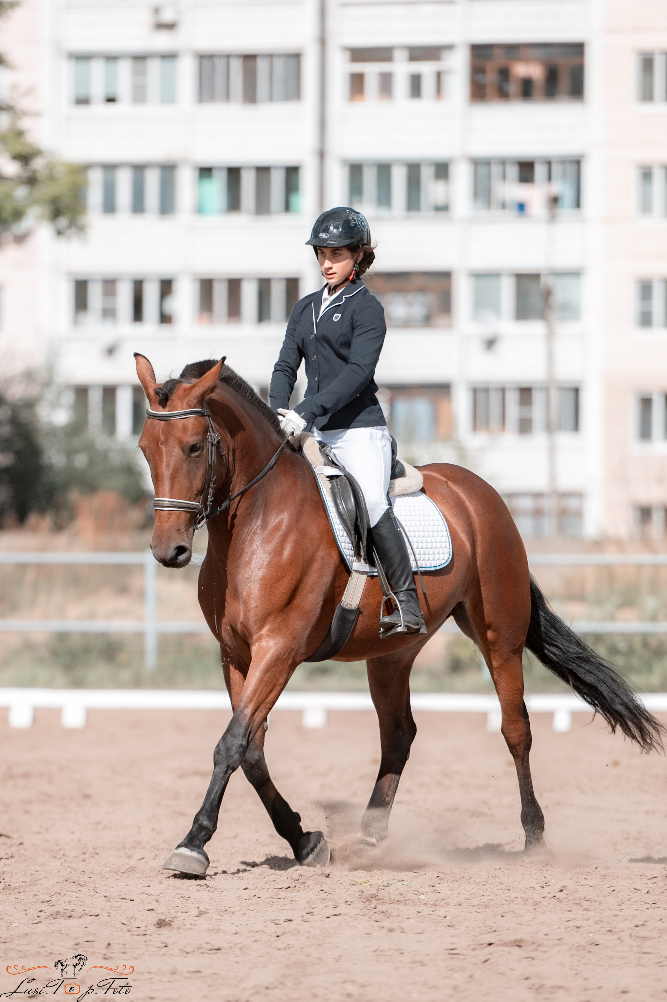 Выездка. Чемпионат и Первенство Тверской области. Конный и фотограф с животными в Твери Топталова Люся