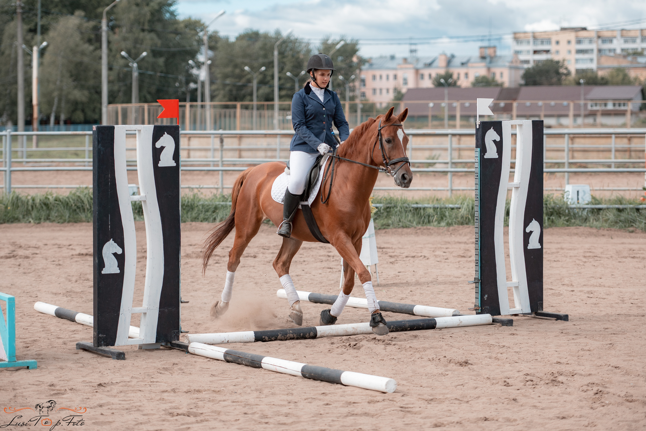 Конкур. Чемпионат и Первенство Тверской области. Конный и фотограф с животными в Твери Топталова Люся