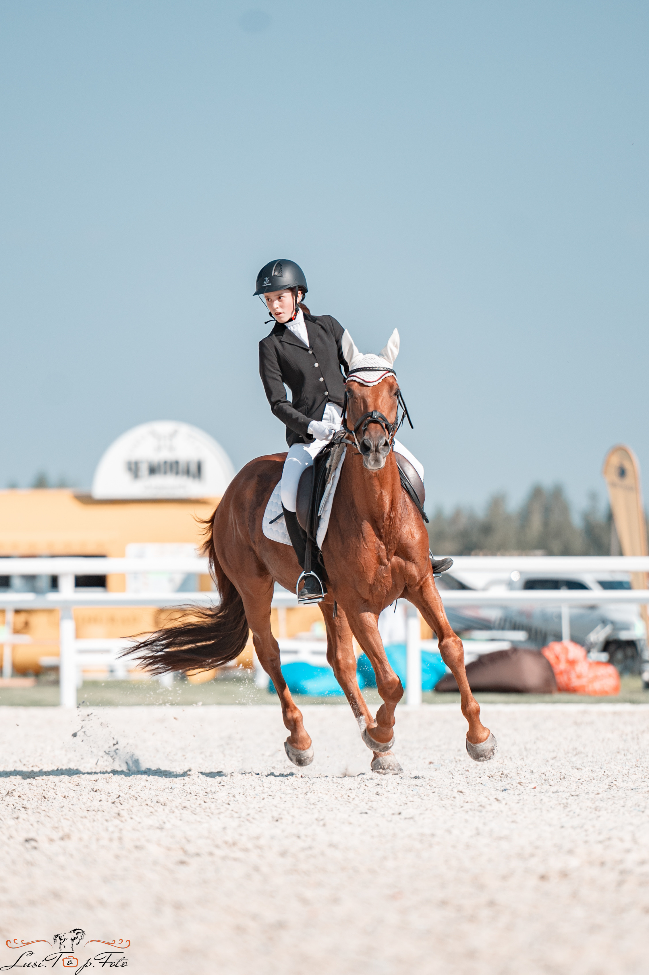 «Областные соревнования на призы Конного Клуба EQUIPARK» ВЫЕЗДКА. Конный и фотограф с животными в Твери Топталова Люся