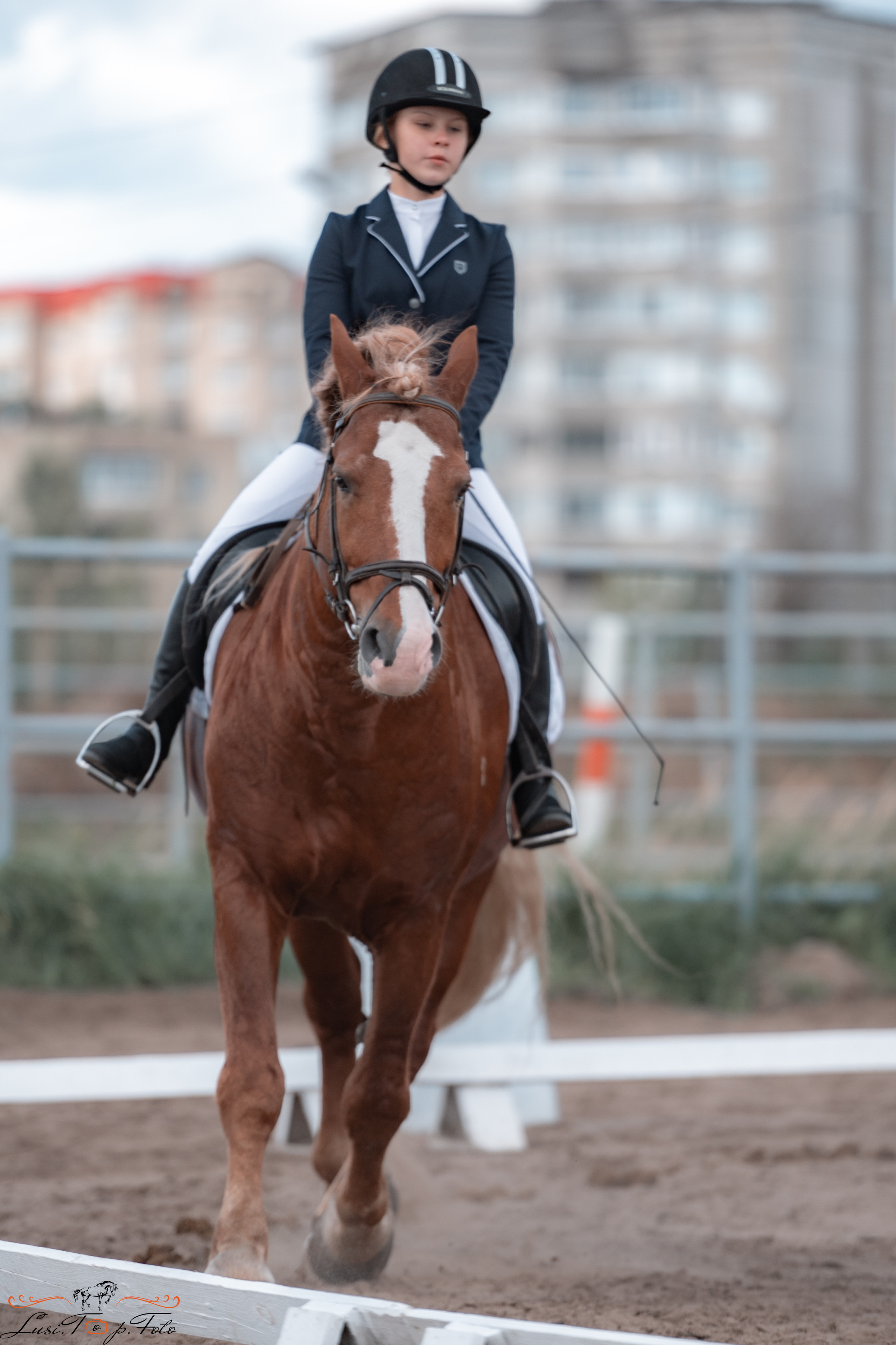Выездка. Чемпионат и Первенство Тверской области. Конный и фотограф с животными в Твери Топталова Люся