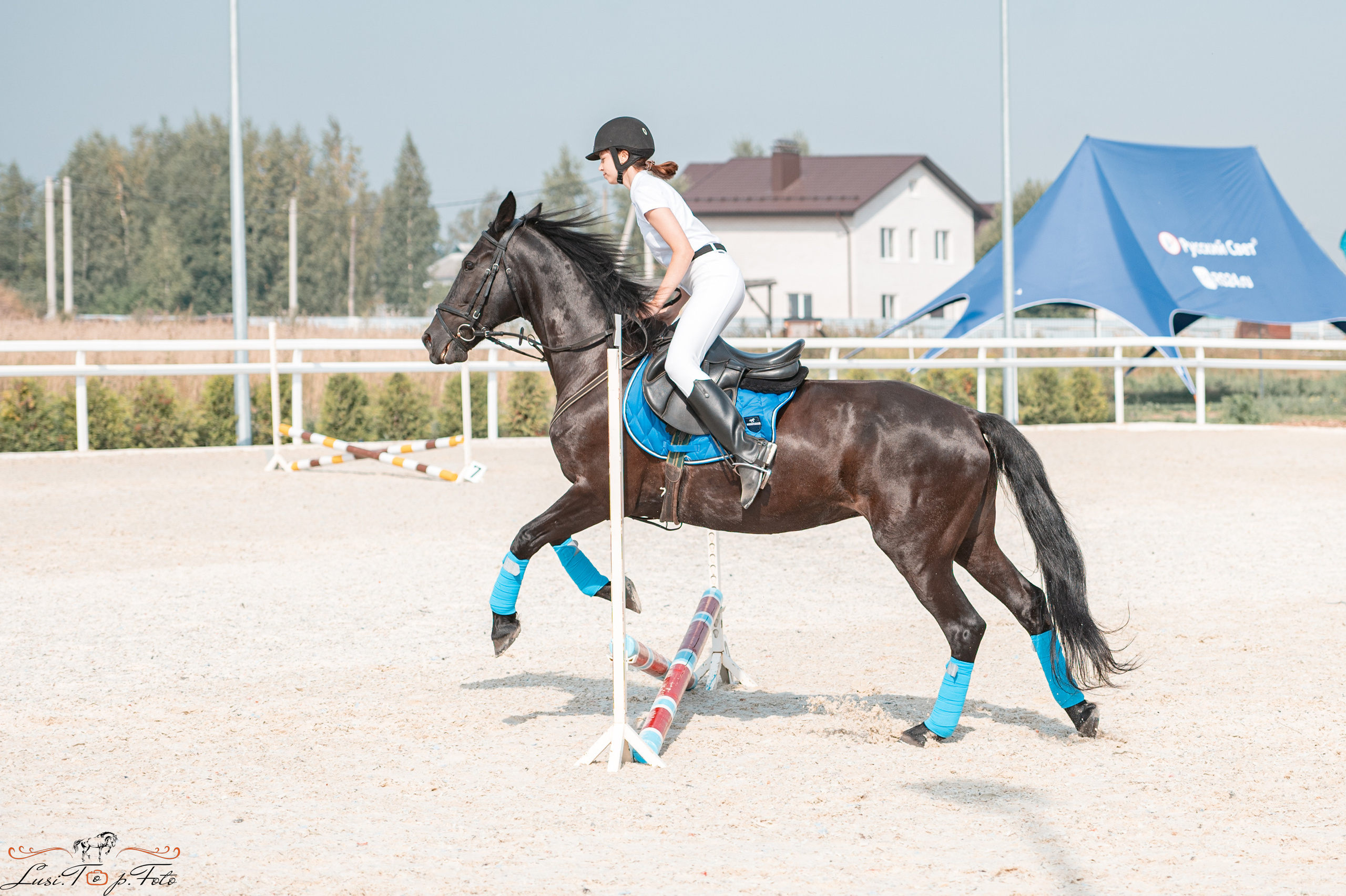 «Областные соревнования на призы Конного Клуба EQUIPARK» 28 августа — КОНКУР. Конный и фотограф с животными в Твери Топталова Люся