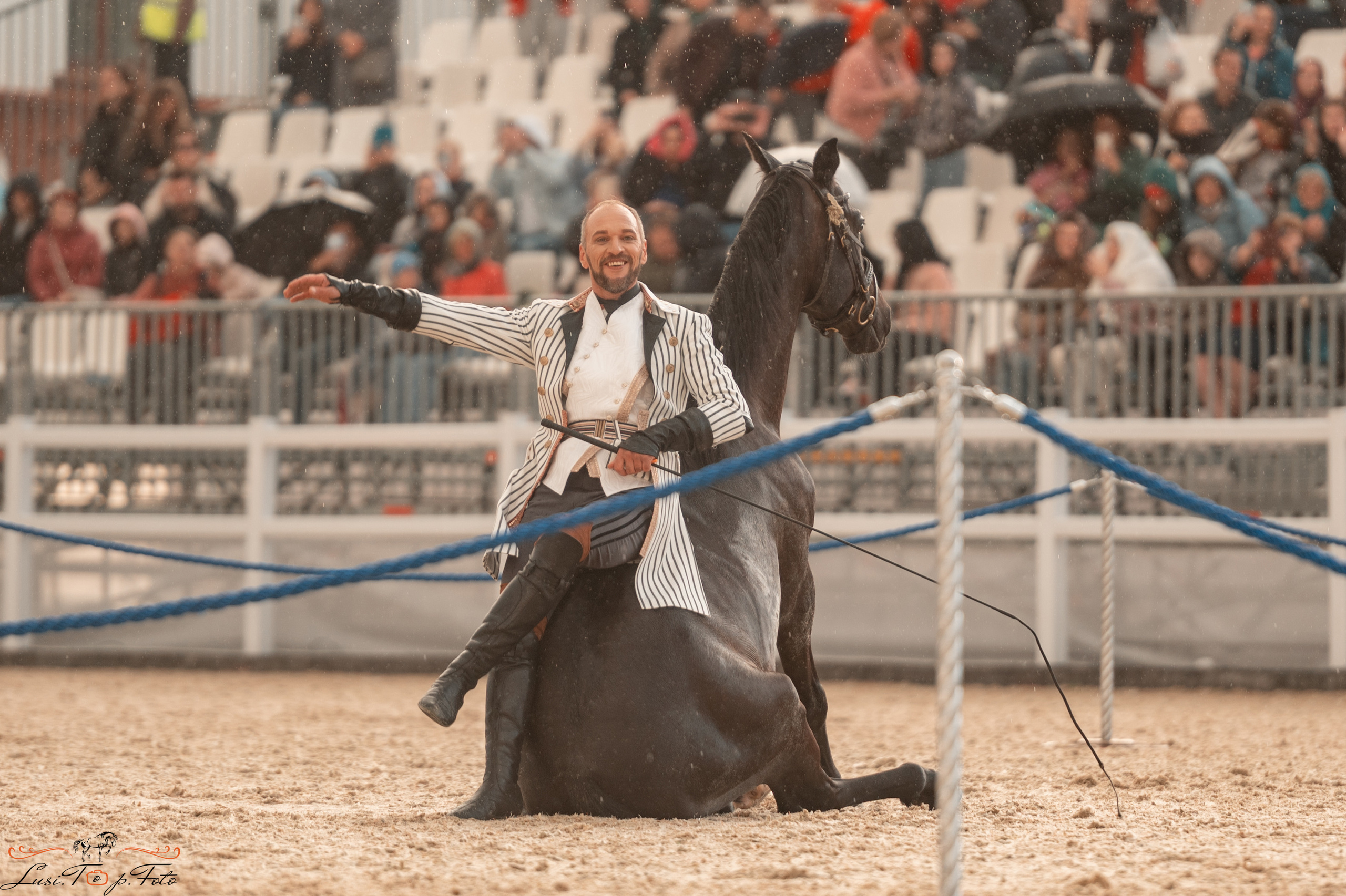 Всероссийская выставка-шоу ахалтекинских лошадей. Конный и фотограф с животными в Твери Топталова Люся