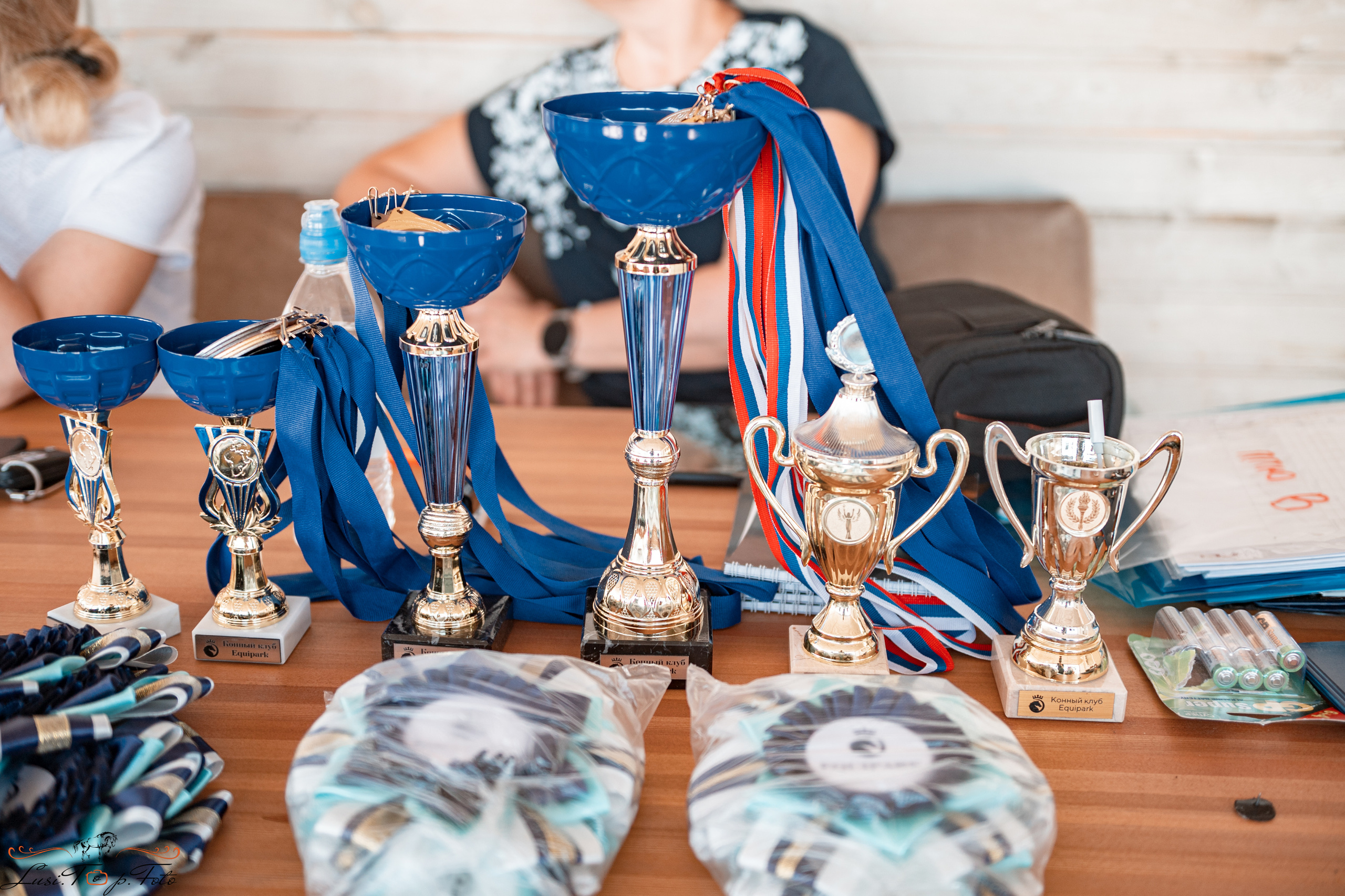 «Областные соревнования на призы Конного Клуба EQUIPARK» ВЫЕЗДКА. Конный и фотограф с животными в Твери Топталова Люся