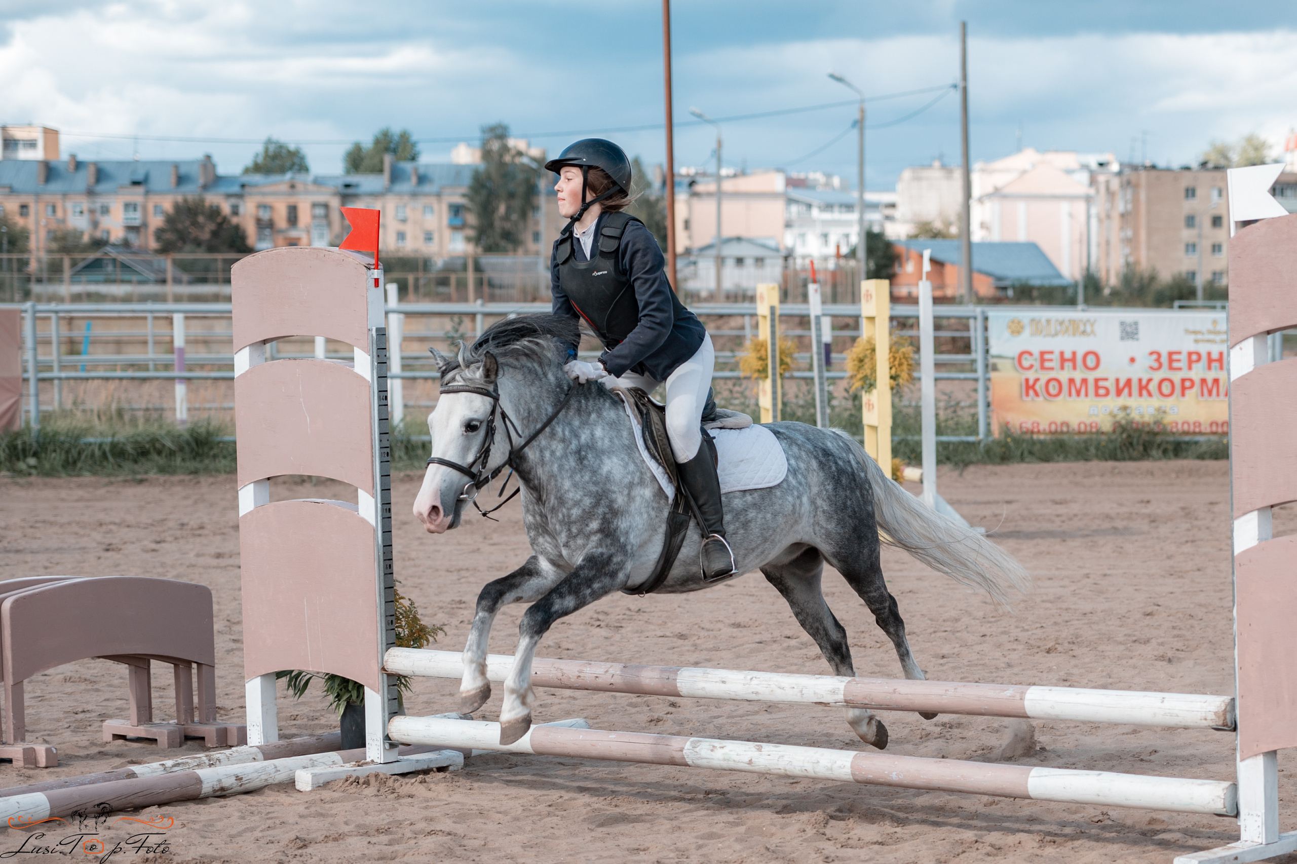 Конкур. Чемпионат и Первенство Тверской области. Конный и фотограф с животными в Твери Топталова Люся
