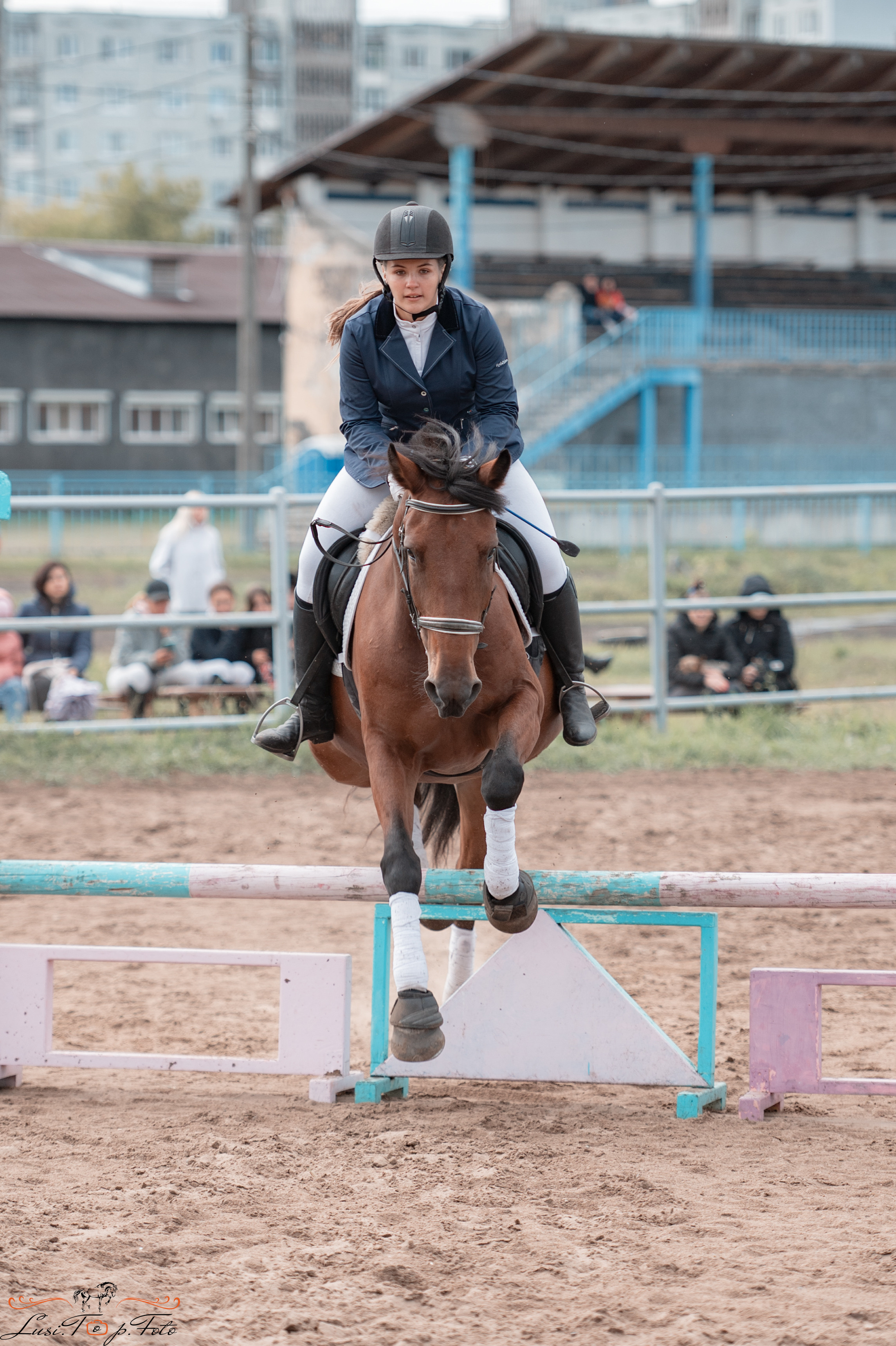 Конкур. Чемпионат и Первенство Тверской области. Конный и фотограф с животными в Твери Топталова Люся