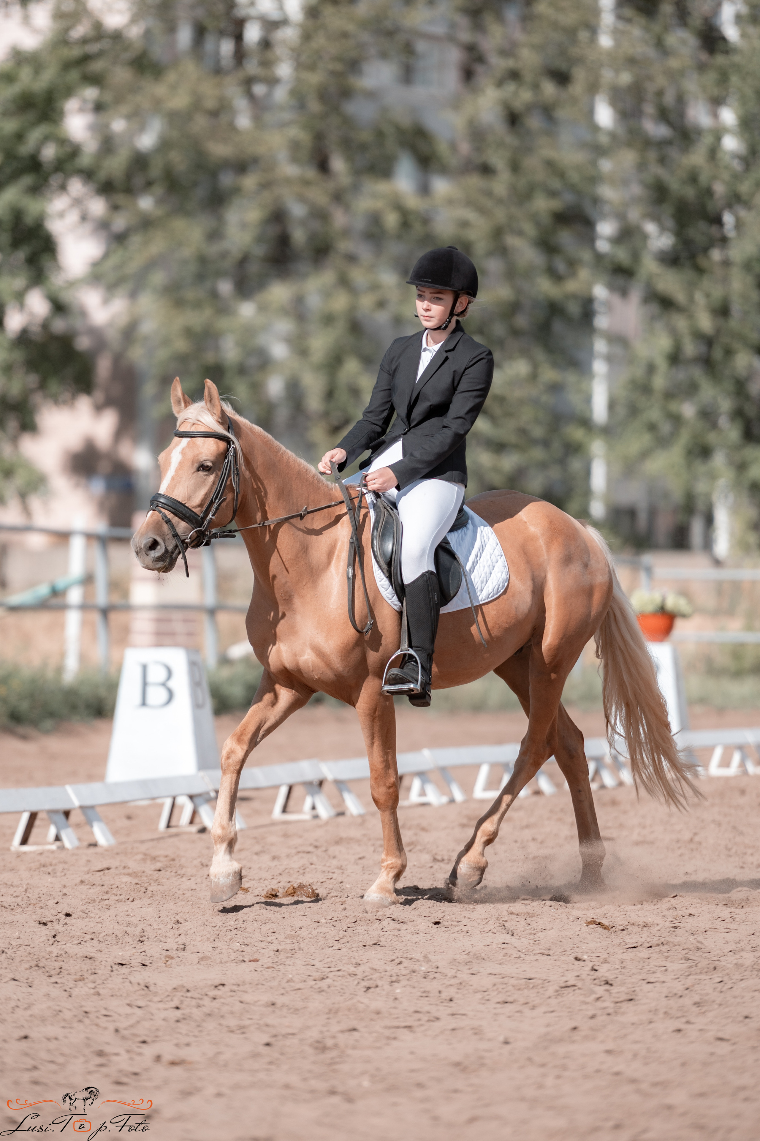 Выездка. Чемпионат и Первенство Тверской области. Конный и фотограф с животными в Твери Топталова Люся