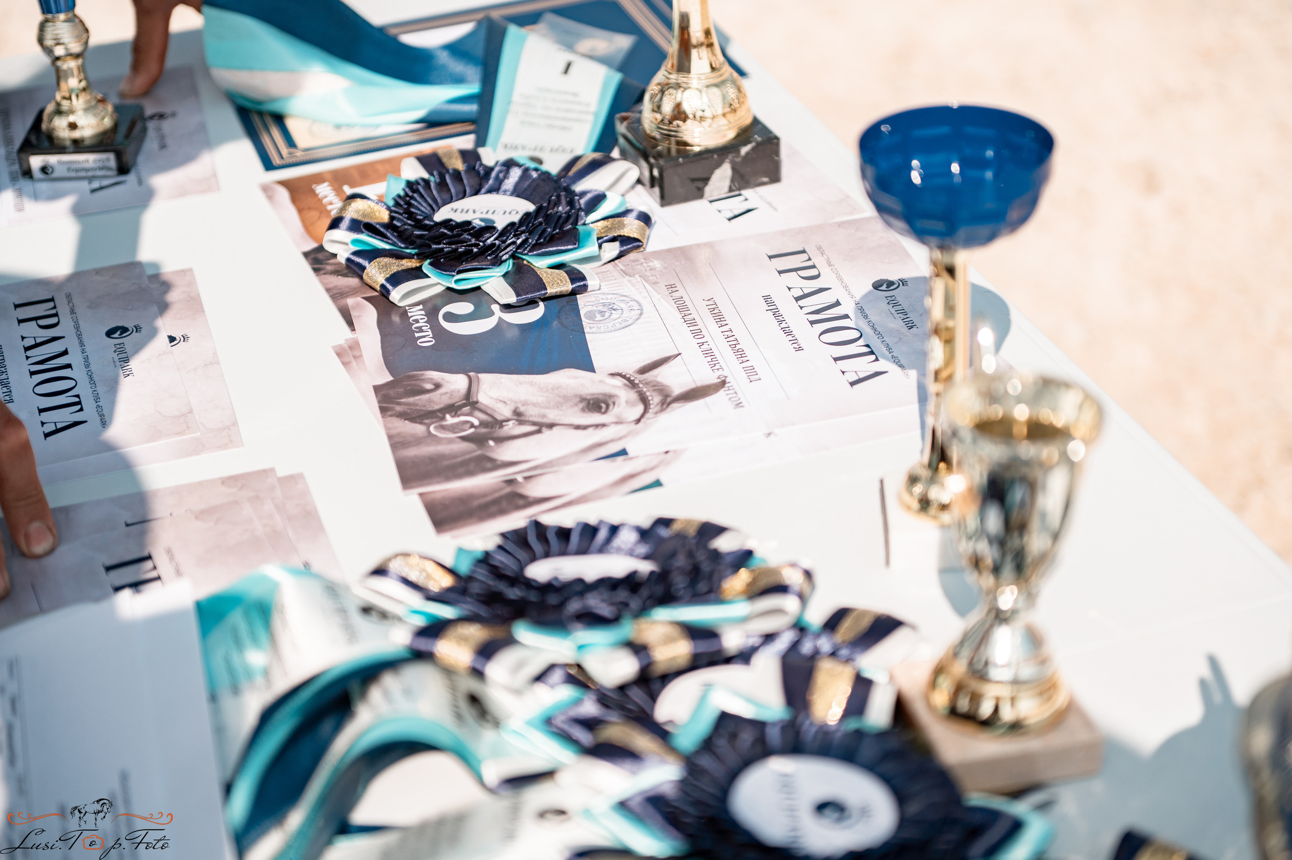 «Областные соревнования на призы Конного Клуба EQUIPARK» ВЫЕЗДКА. Конный и фотограф с животными в Твери Топталова Люся