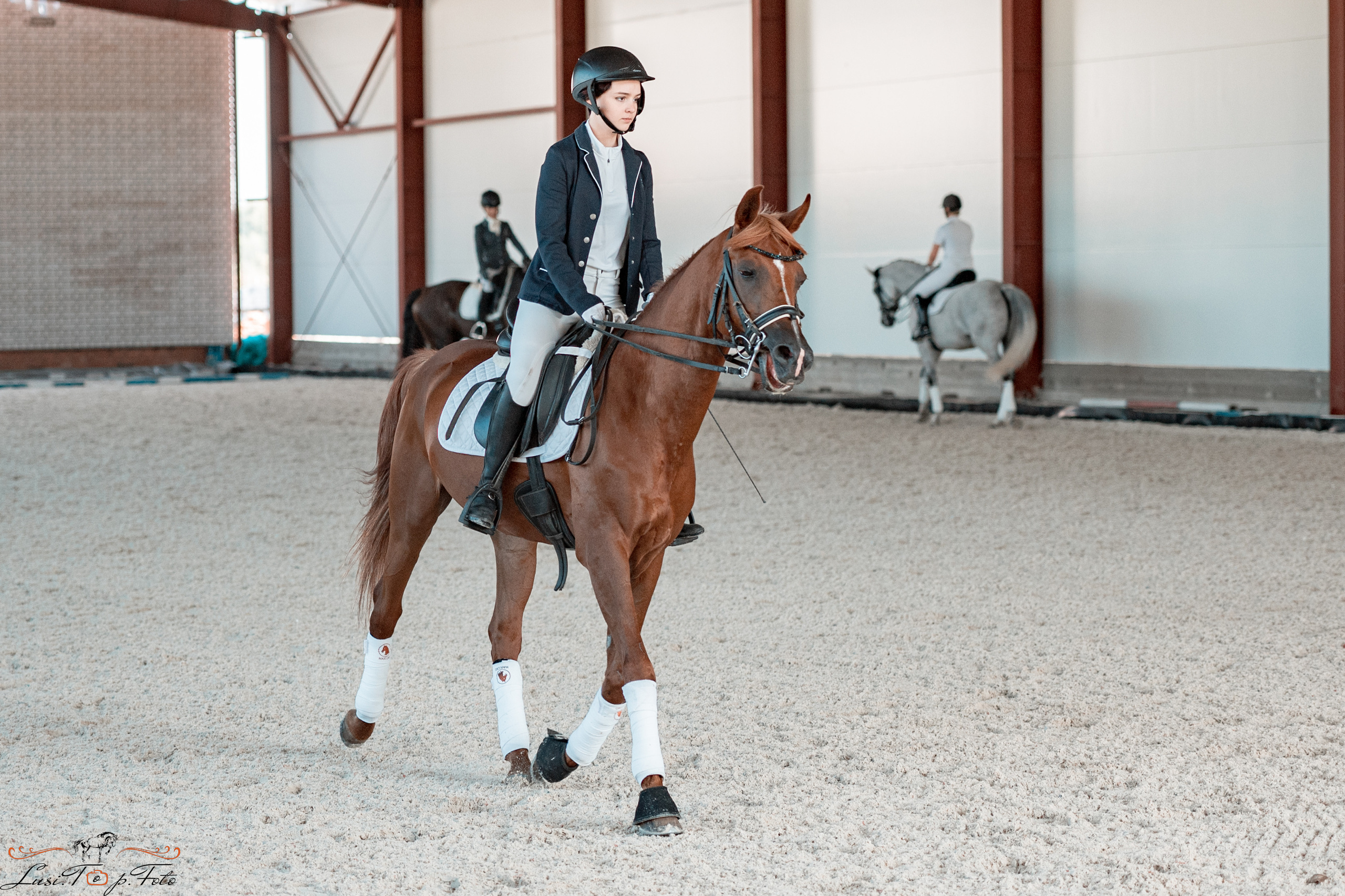 «Областные соревнования на призы Конного Клуба EQUIPARK» ВЫЕЗДКА. Конный и фотограф с животными в Твери Топталова Люся