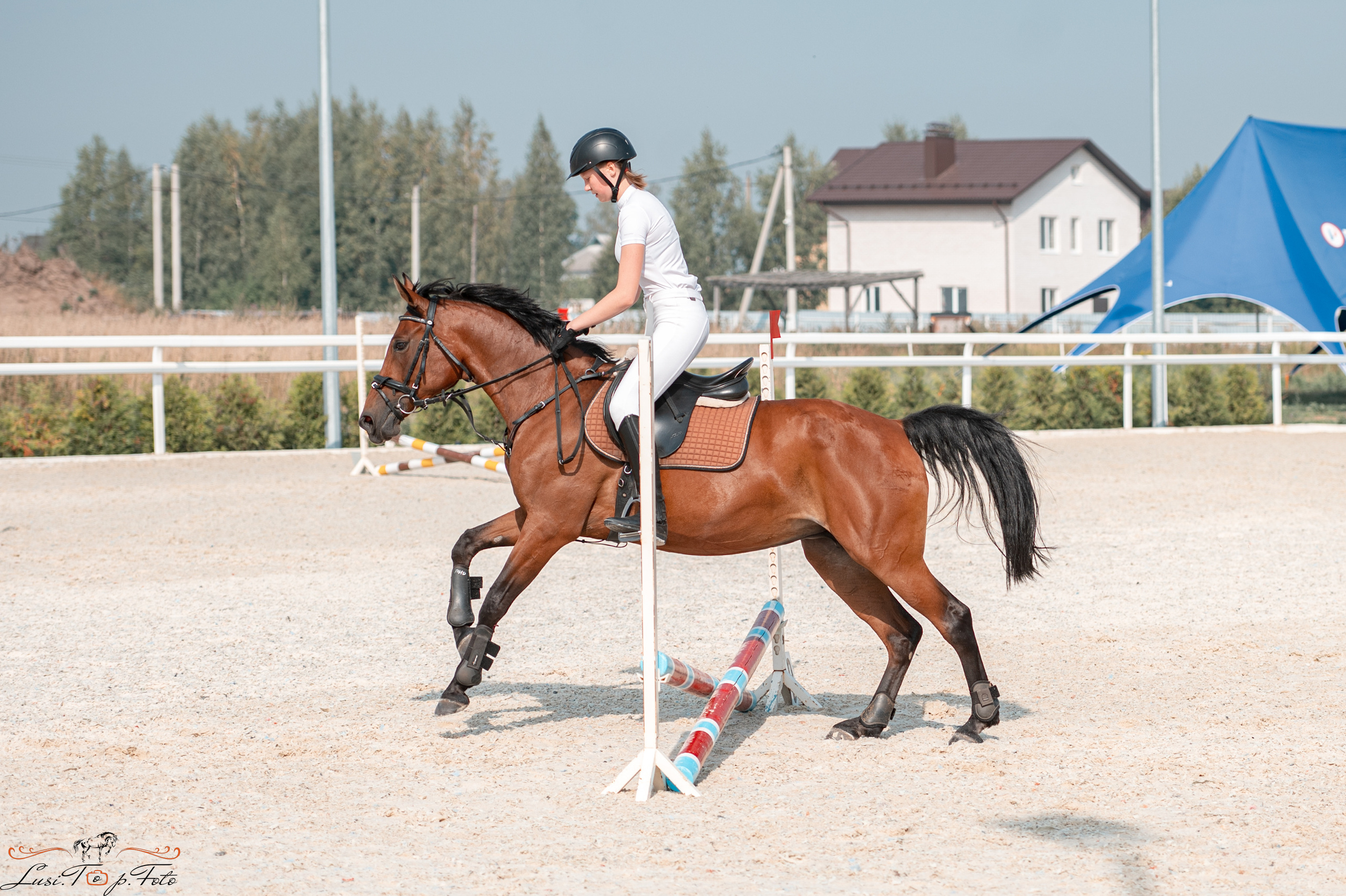 «Областные соревнования на призы Конного Клуба EQUIPARK» 28 августа — КОНКУР. Конный и фотограф с животными в Твери Топталова Люся