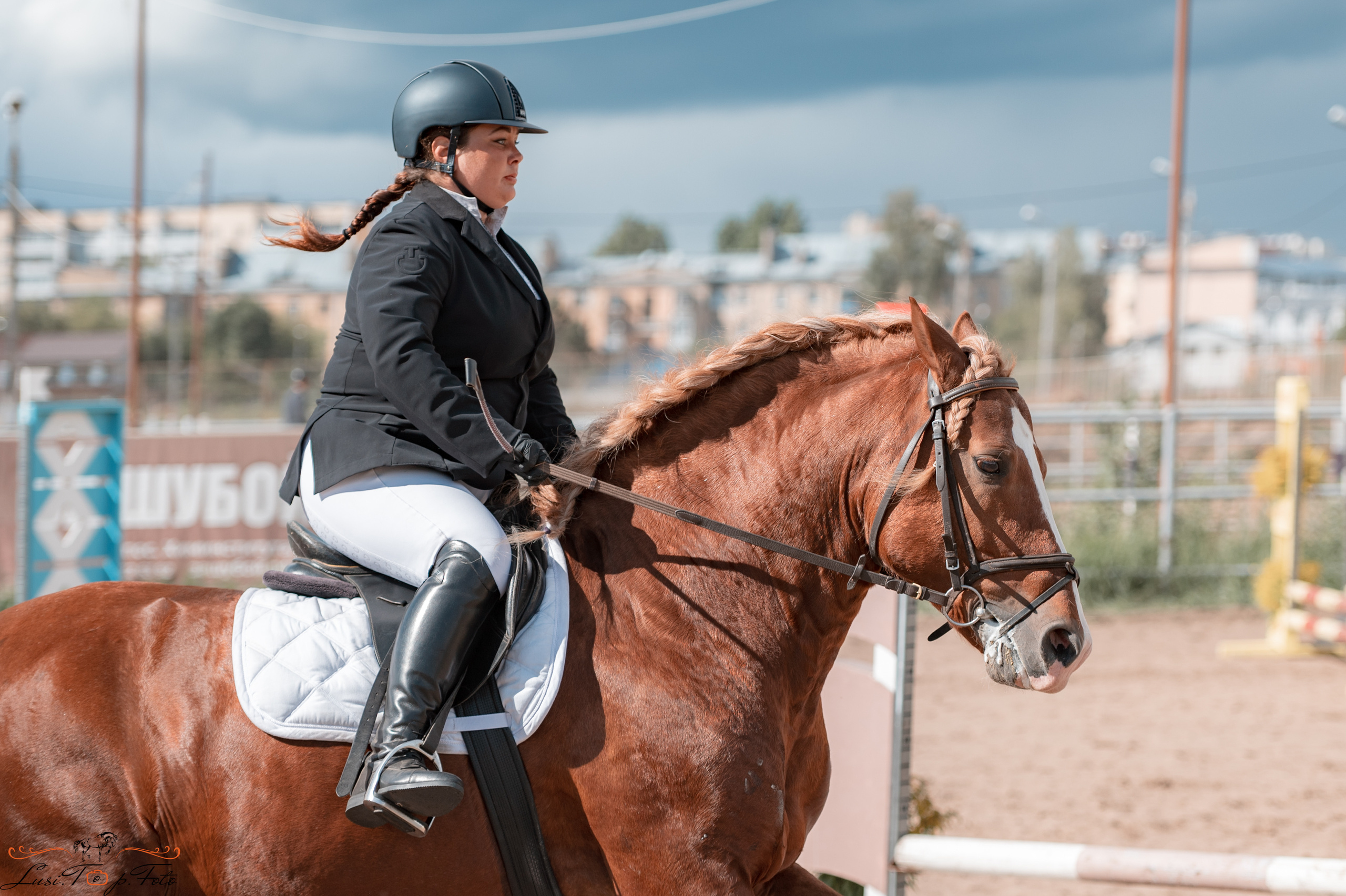Конкур. Чемпионат и Первенство Тверской области. Конный и фотограф с животными в Твери Топталова Люся