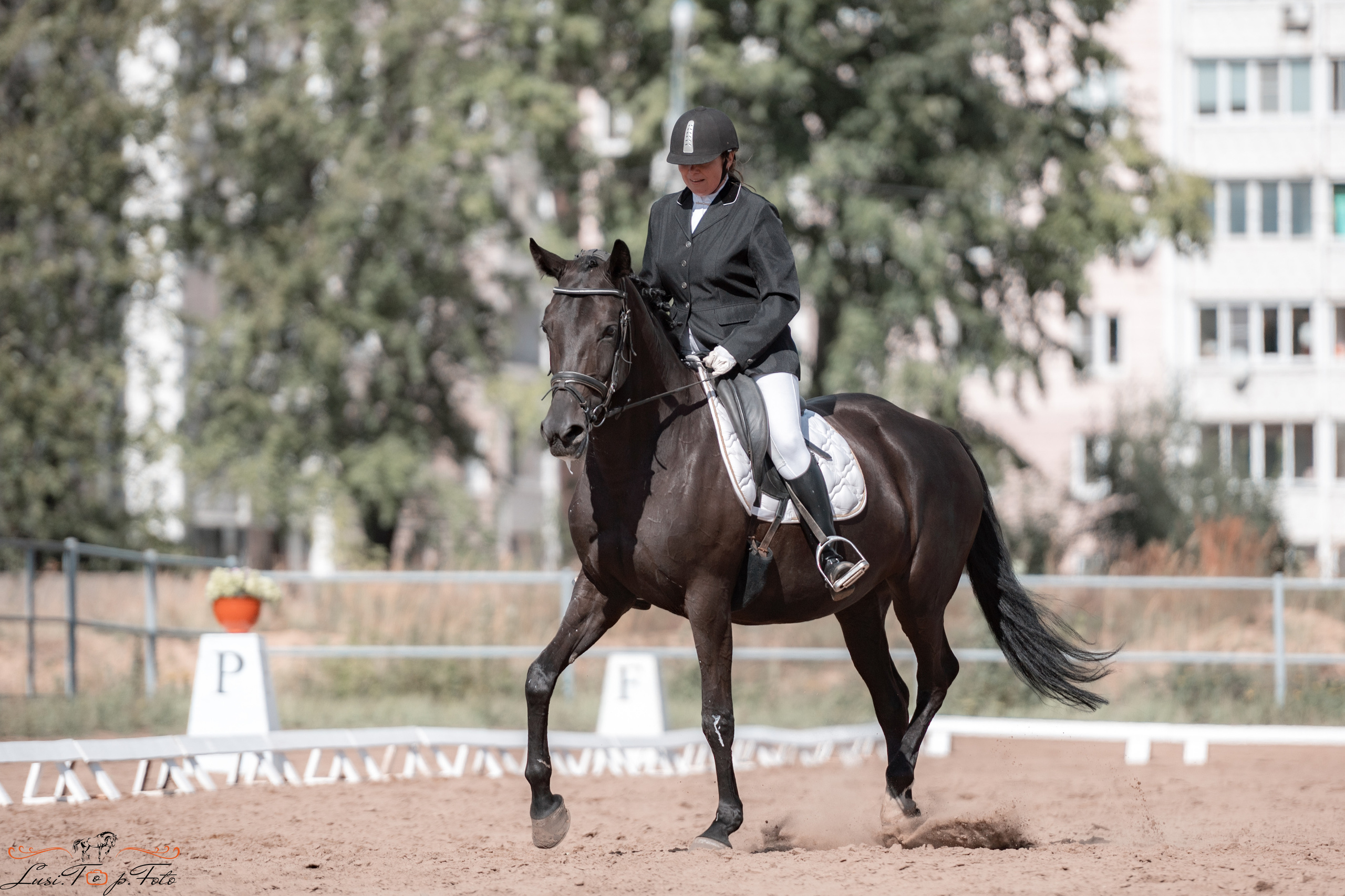 Выездка. Чемпионат и Первенство Тверской области. Конный и фотограф с животными в Твери Топталова Люся