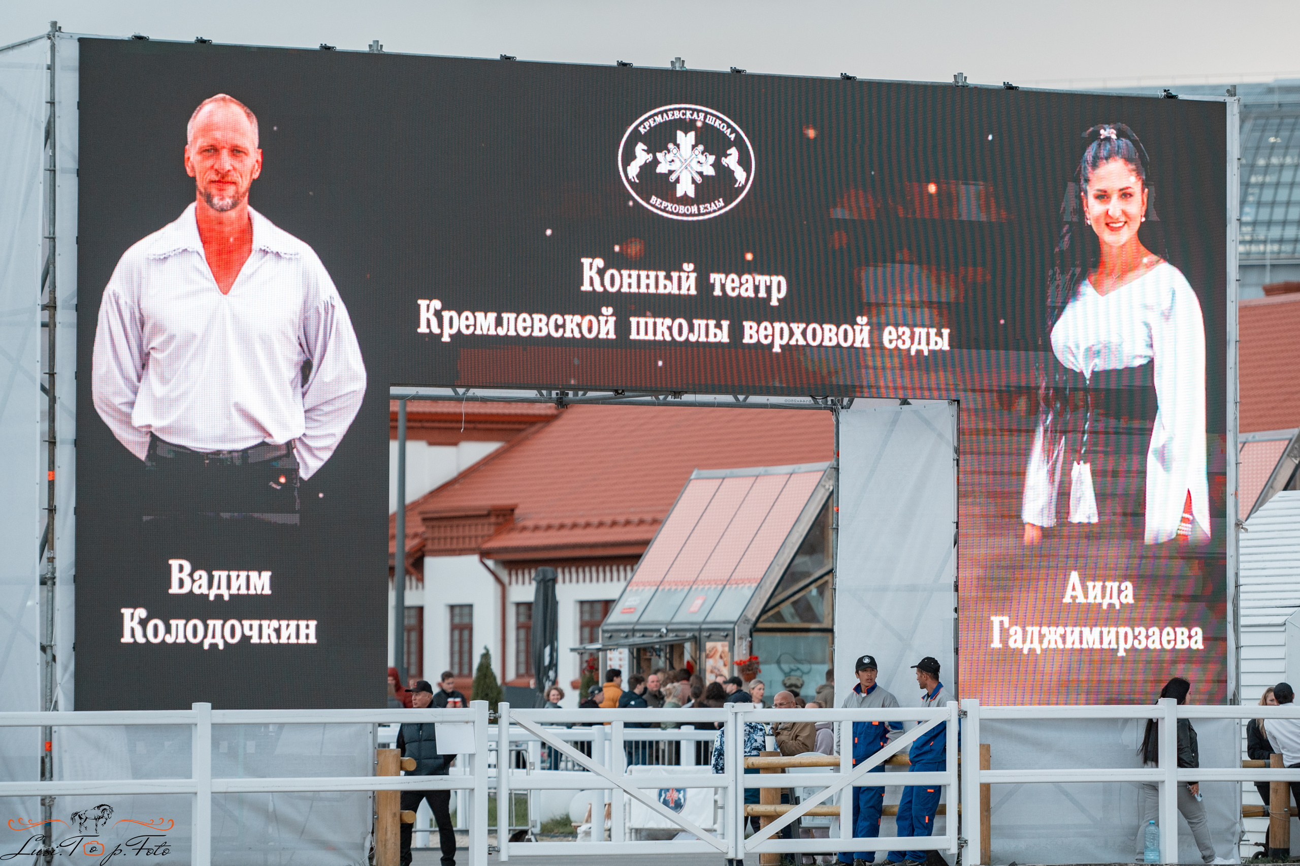 Всероссийская выставка-шоу ахалтекинских лошадей. Конный и фотограф с животными в Твери Топталова Люся