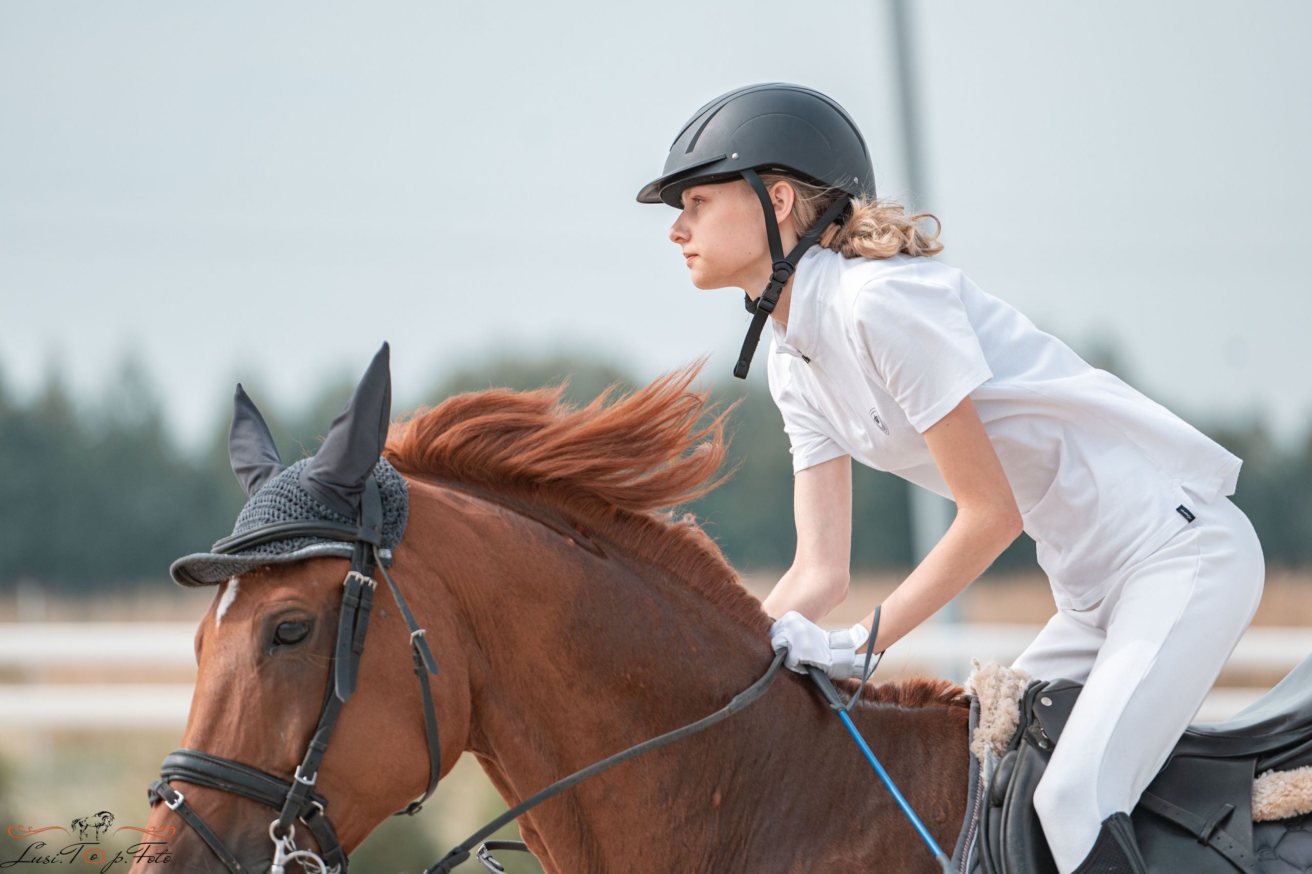 «Областные соревнования на призы Конного Клуба EQUIPARK» 28 августа — КОНКУР. Конный и фотограф с животными в Твери Топталова Люся