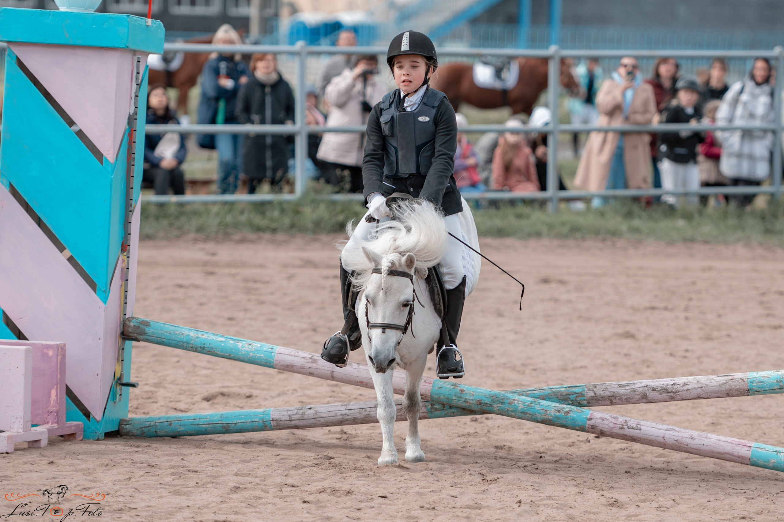 Конкур. Чемпионат и Первенство Тверской области. Конный и фотограф с животными в Твери Топталова Люся