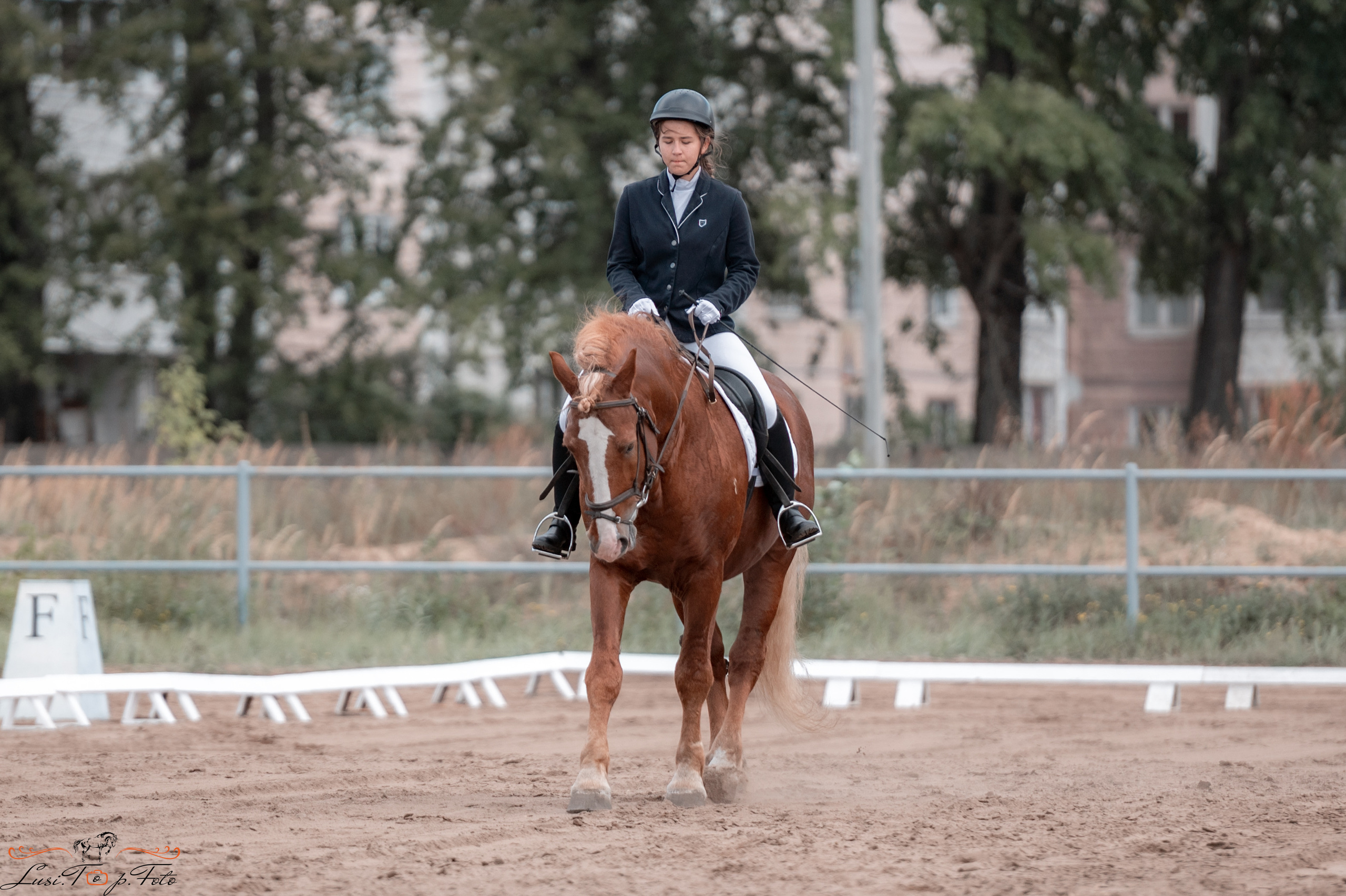 Выездка. Чемпионат и Первенство Тверской области. Конный и фотограф с животными в Твери Топталова Люся