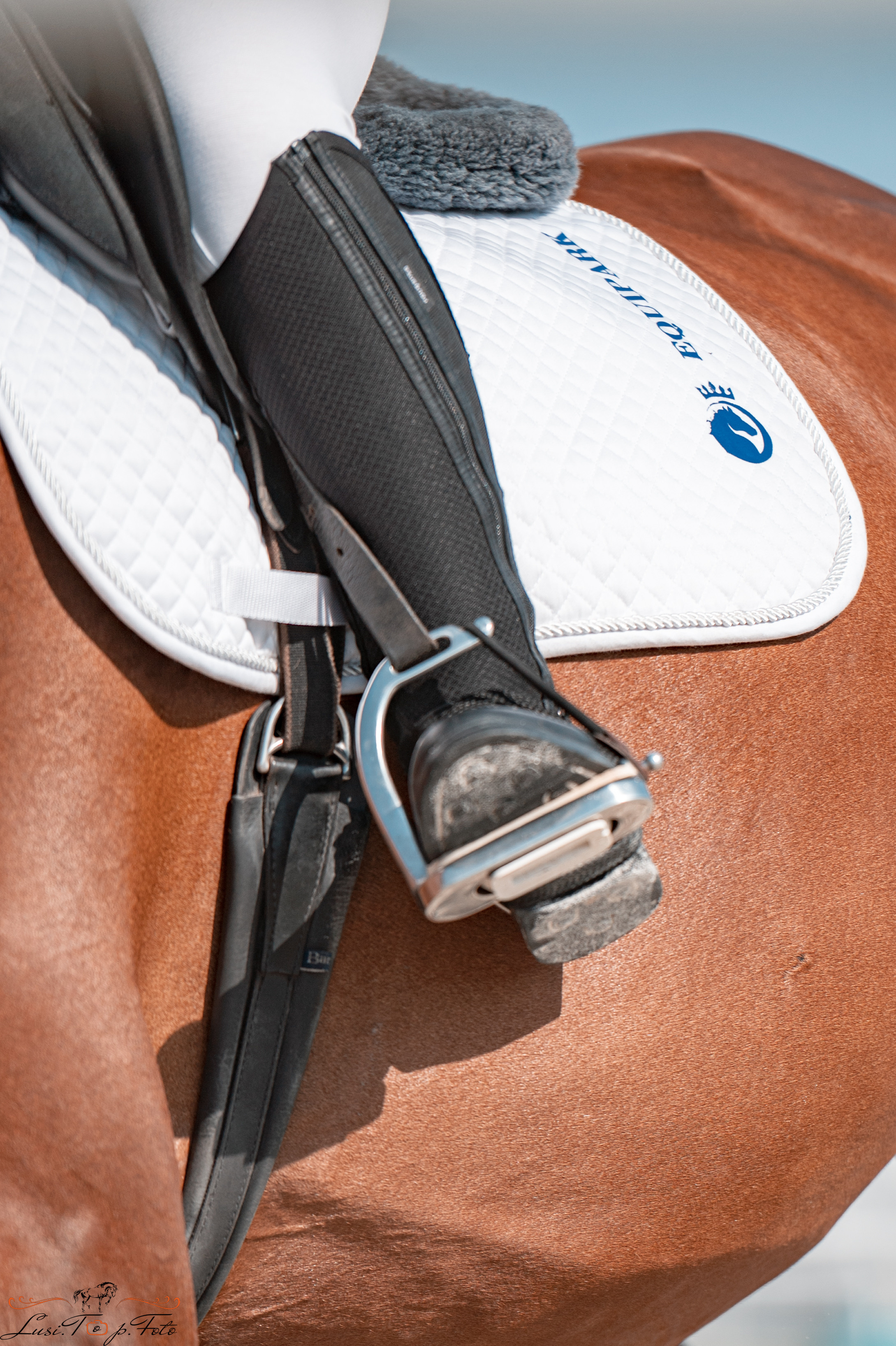 «Областные соревнования на призы Конного Клуба EQUIPARK» ВЫЕЗДКА. Конный и фотограф с животными в Твери Топталова Люся