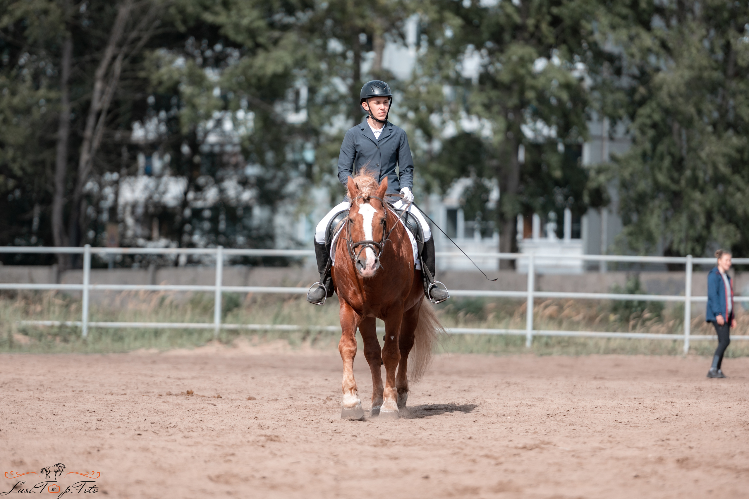 Выездка. Чемпионат и Первенство Тверской области. Конный и фотограф с животными в Твери Топталова Люся