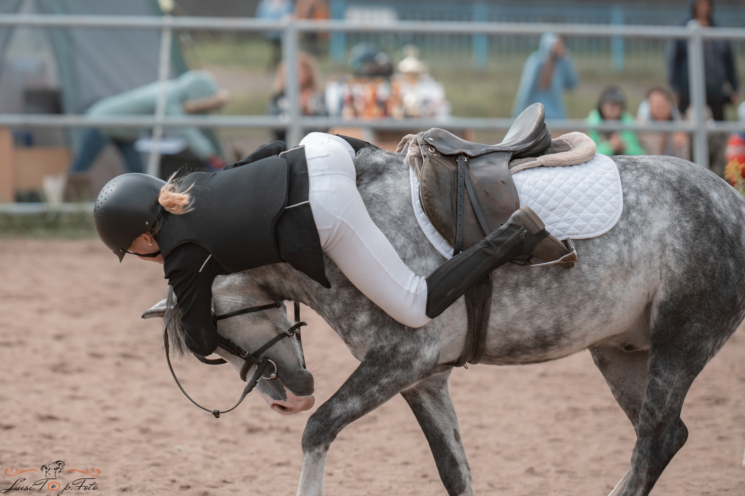 Конкур. Чемпионат и Первенство Тверской области. Конный и фотограф с животными в Твери Топталова Люся
