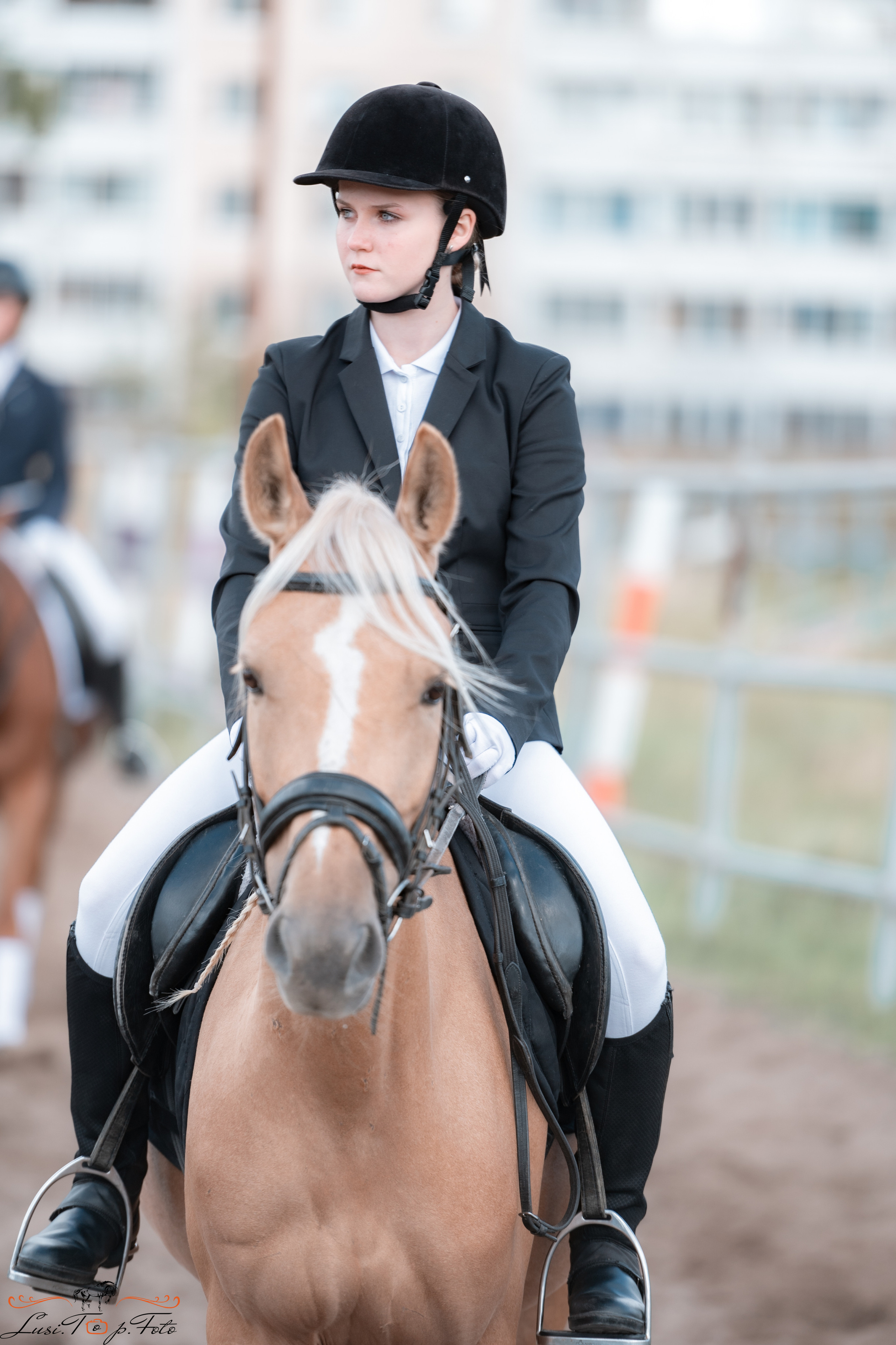 Выездка. Чемпионат и Первенство Тверской области. Конный и фотограф с животными в Твери Топталова Люся