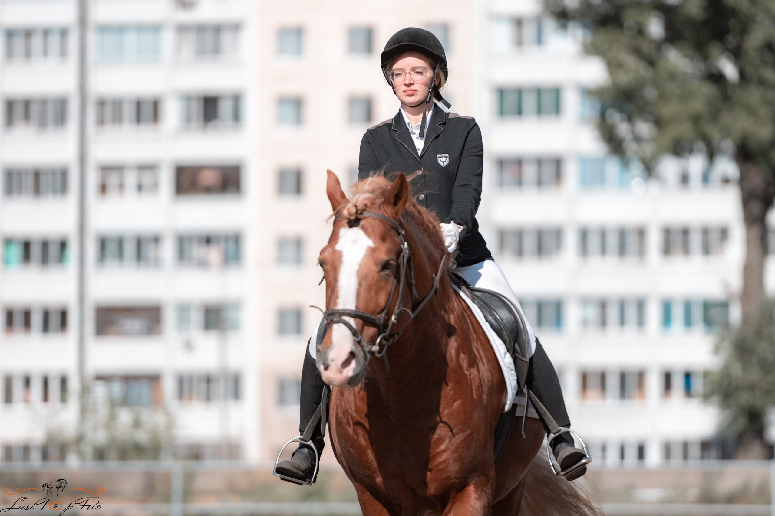 Выездка. Чемпионат и Первенство Тверской области. Конный и фотограф с животными в Твери Топталова Люся