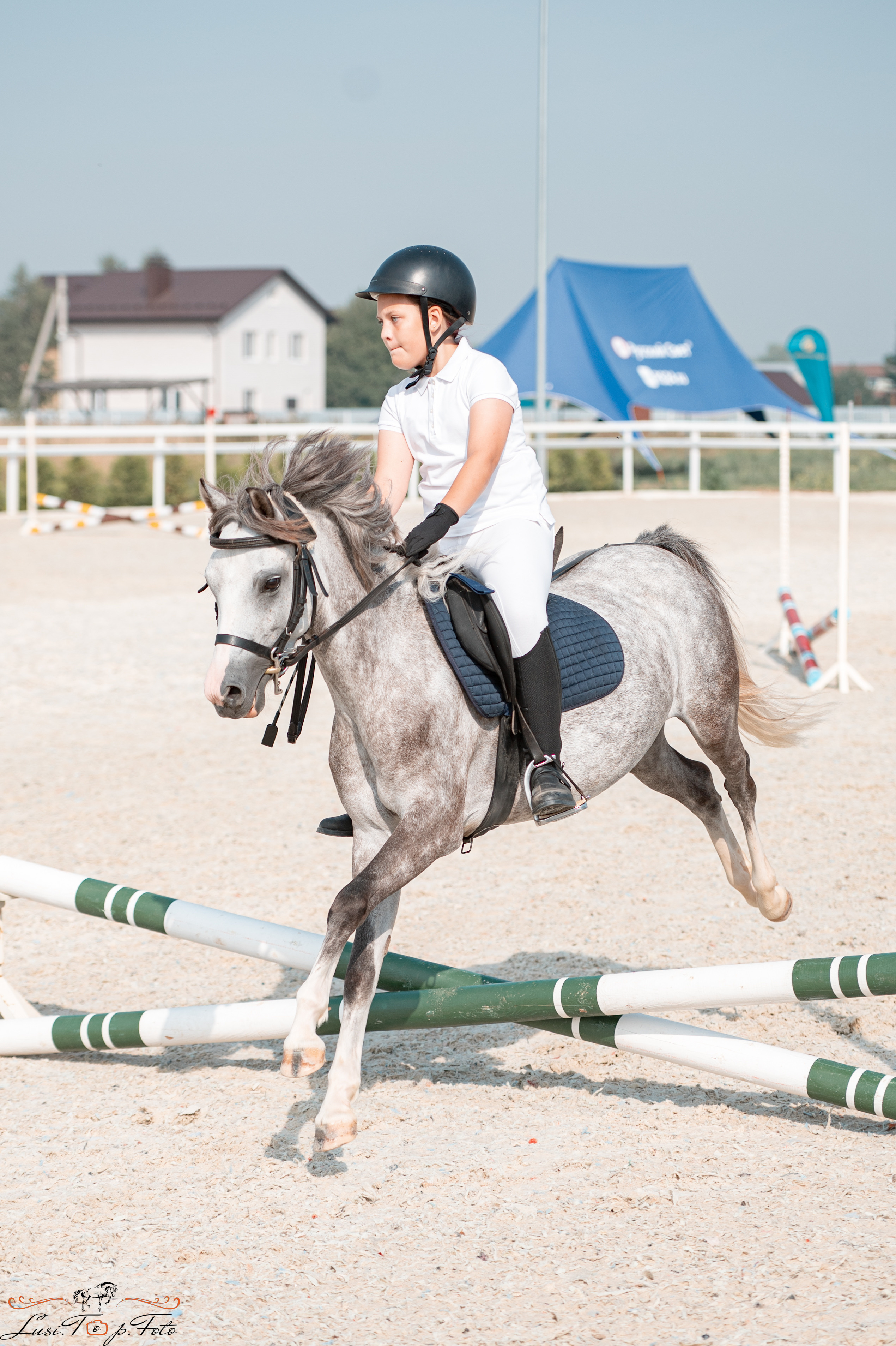 «Областные соревнования на призы Конного Клуба EQUIPARK» 28 августа — КОНКУР. Конный и фотограф с животными в Твери Топталова Люся