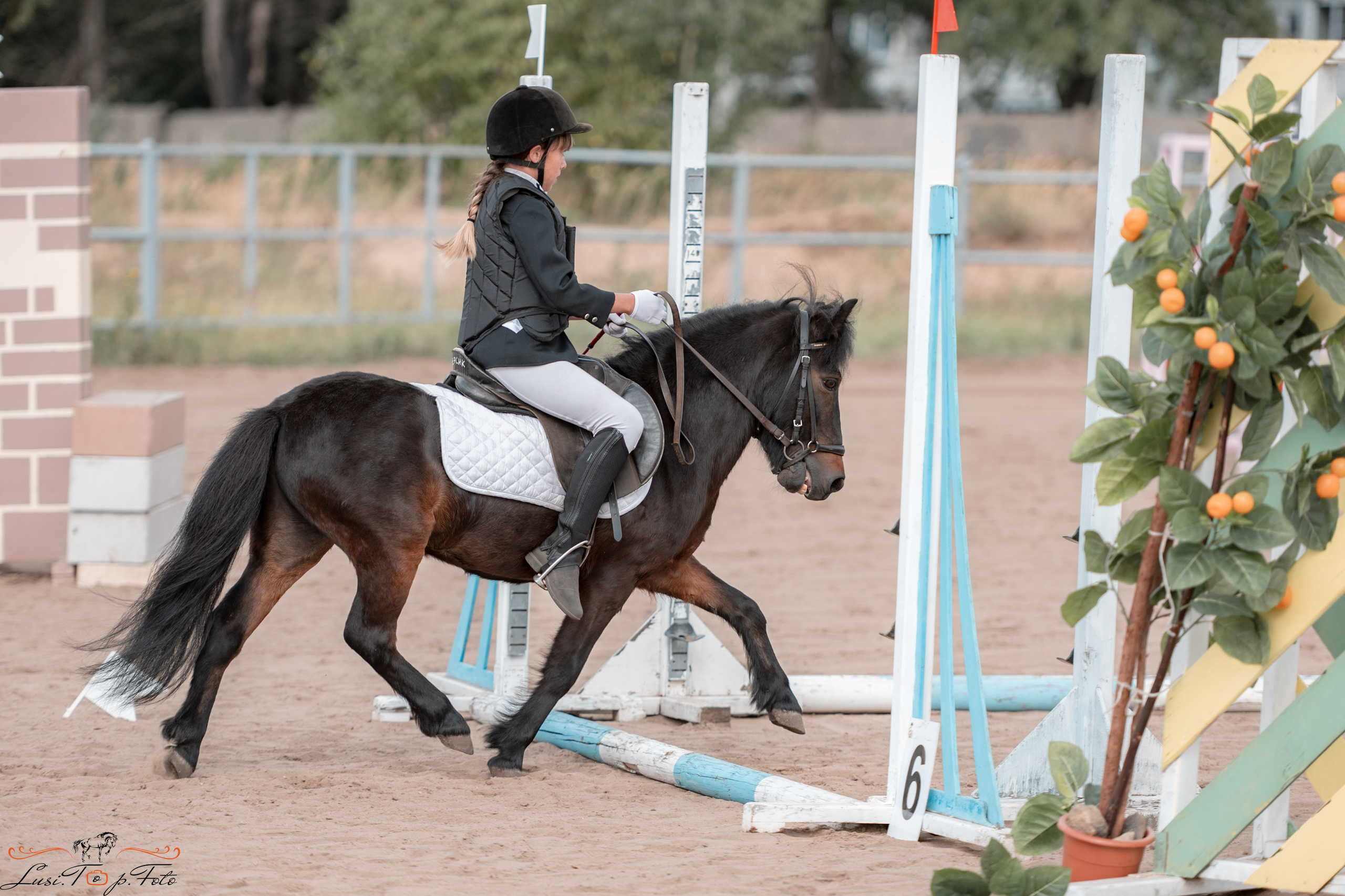 Конкур. Чемпионат и Первенство Тверской области. Конный и фотограф с животными в Твери Топталова Люся