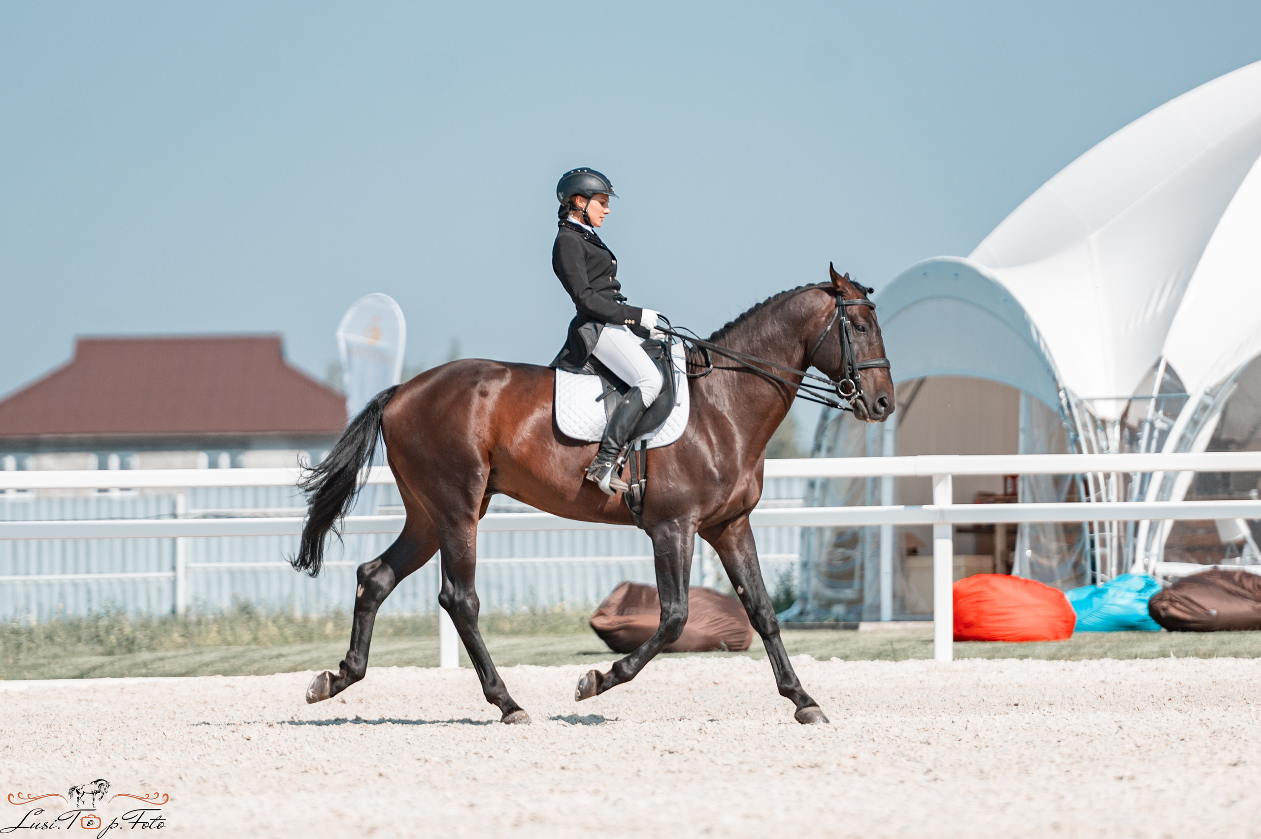 «Областные соревнования на призы Конного Клуба EQUIPARK» ВЫЕЗДКА. Конный и фотограф с животными в Твери Топталова Люся