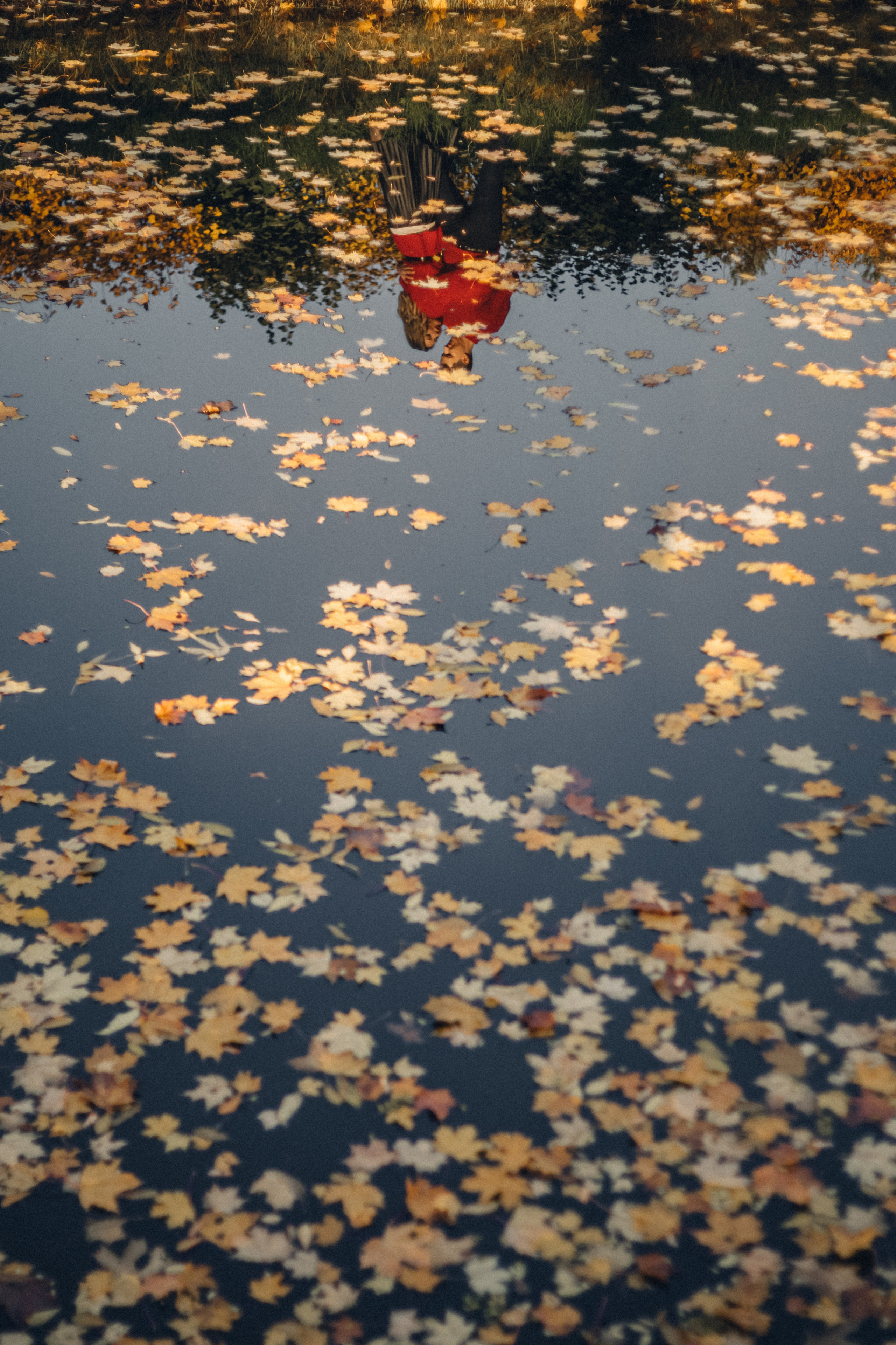 Осенняя фотосессия. Полина и Кирилл. Photographer Sergei Miroshnikov