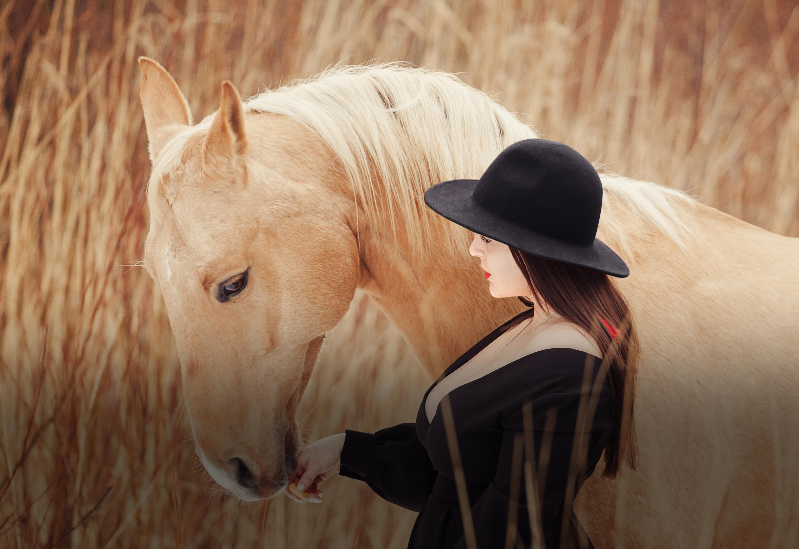Главная старая для частников