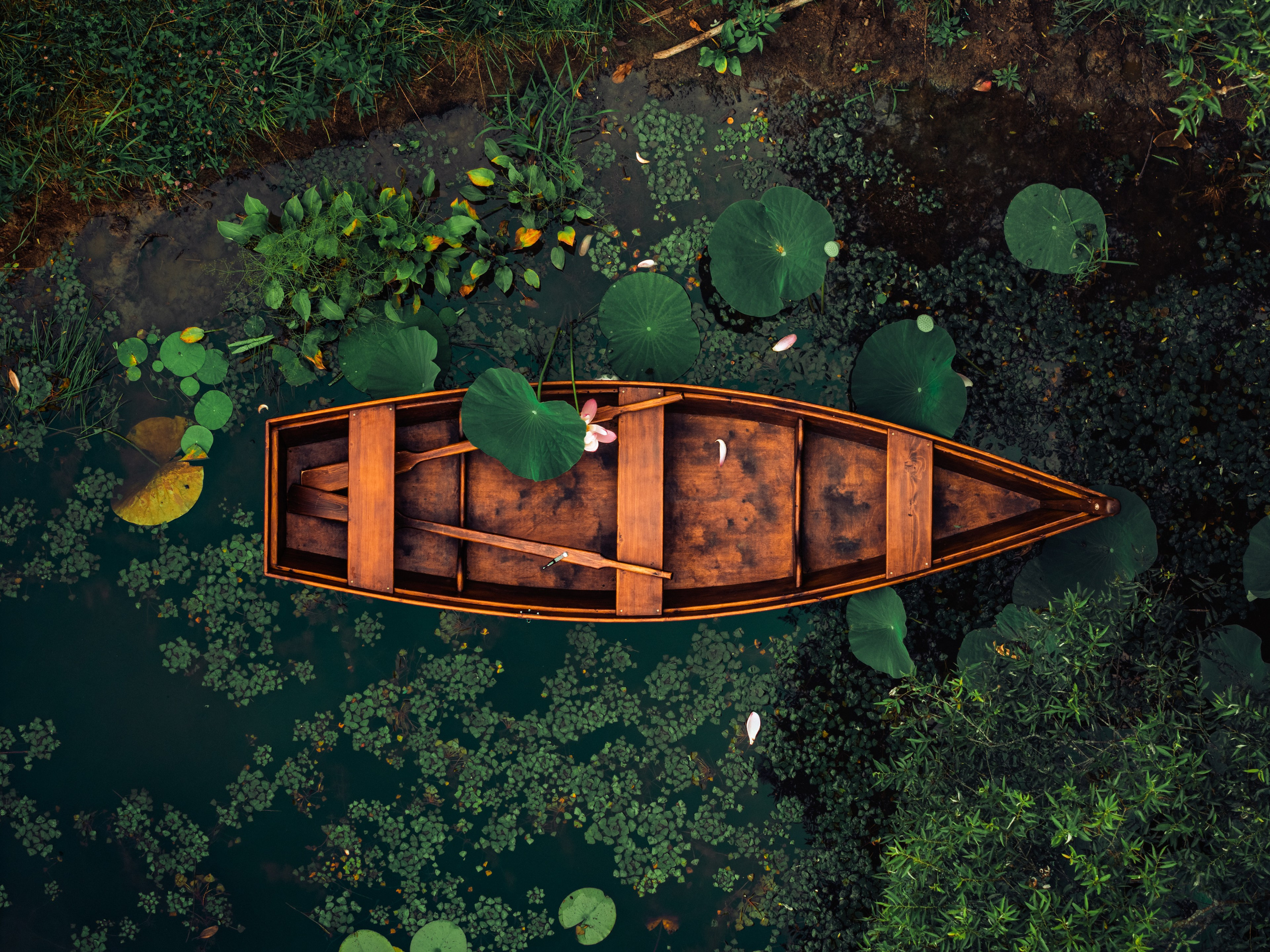 Пруд «Семейный» | с. Петровка. Иван Зайцев (IZIART) — создание культурного кода через фото и видео