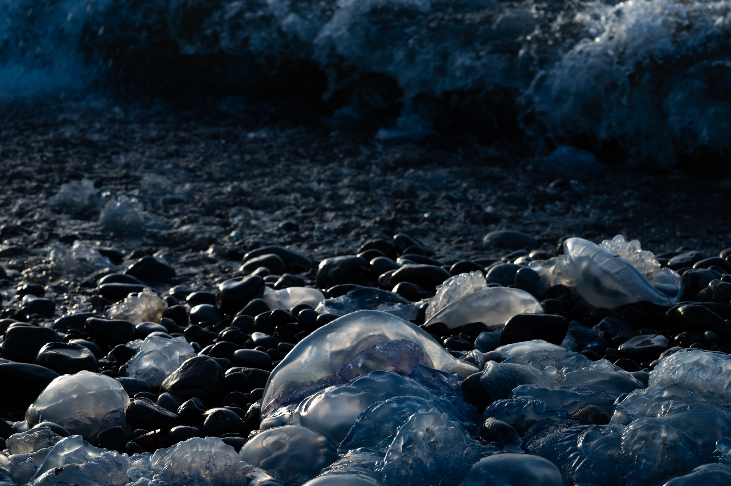 Photographer Yulia Lushnikova, Based in Valencia