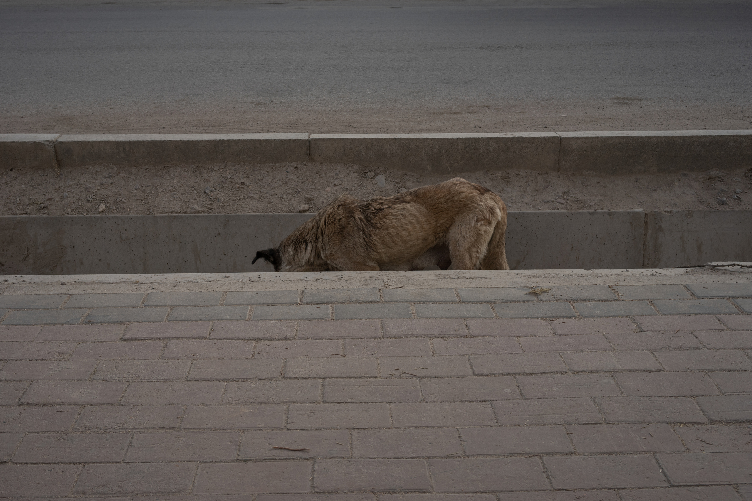 Abai: The Village Where The Boy Was Systematically Raped. Ofeliya Zhakayeva — documentary photographer, videographer