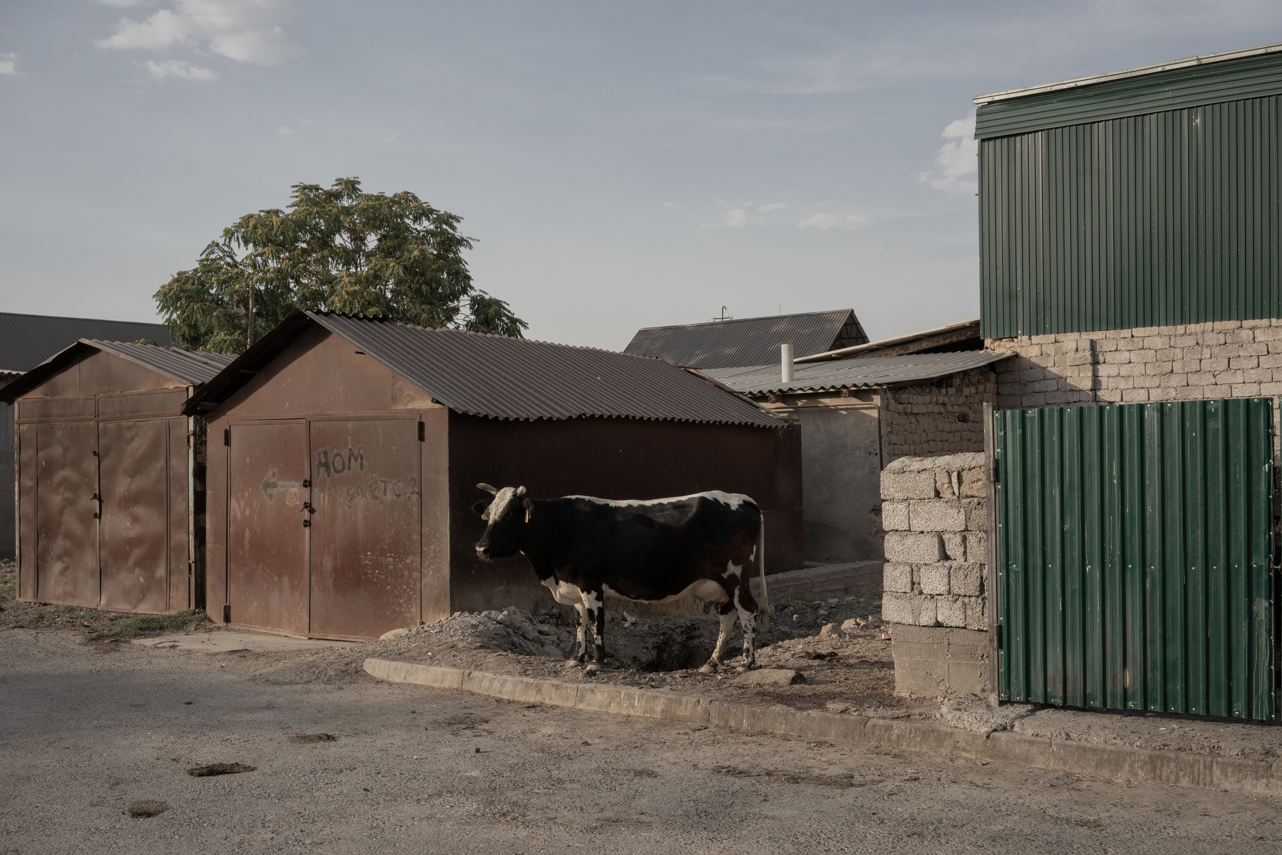 Abai: The Village Where The Boy Was Systematically Raped. Ofeliya Zhakayeva — documentary photographer, videographer