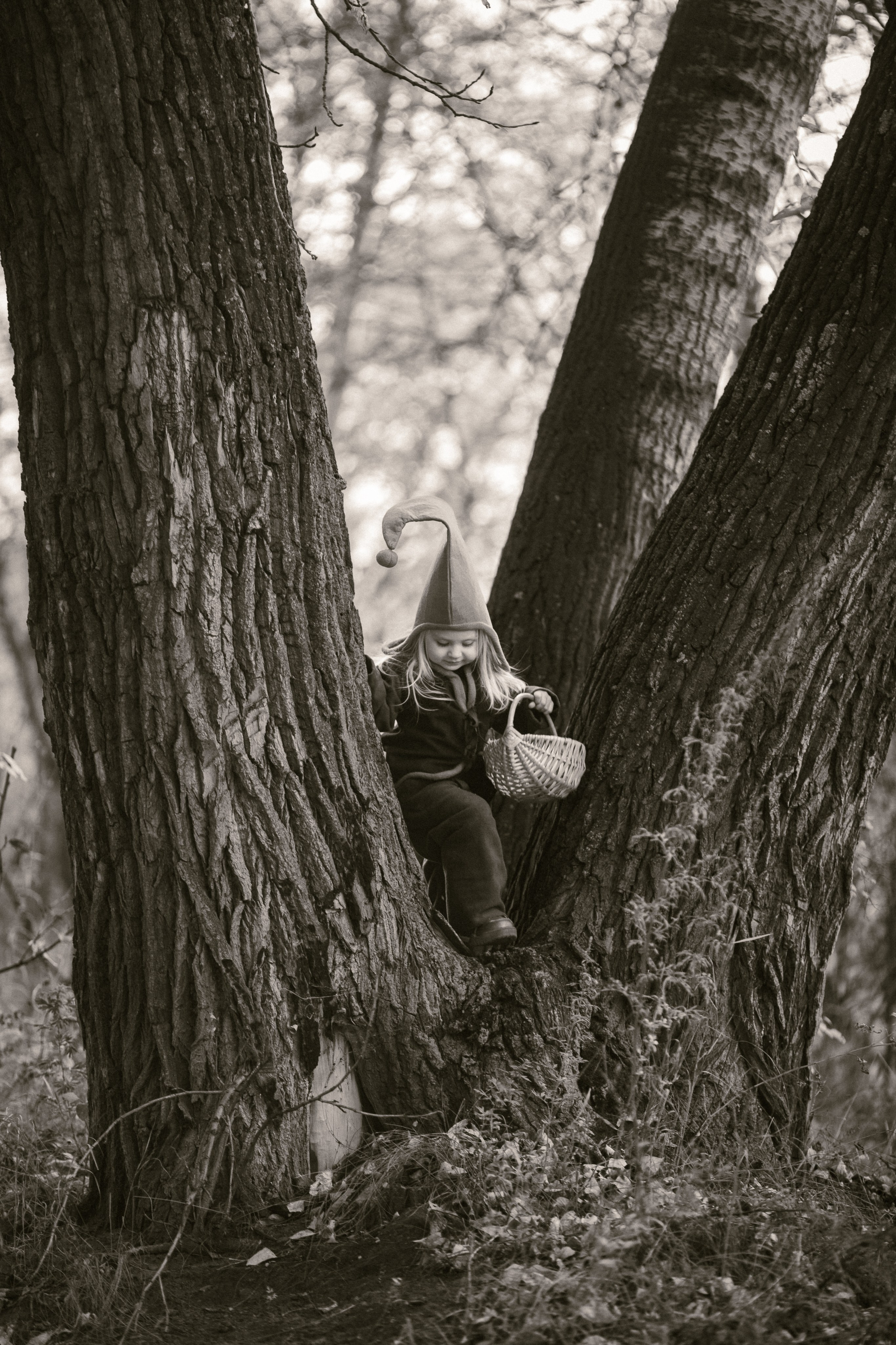 Лесные гномы