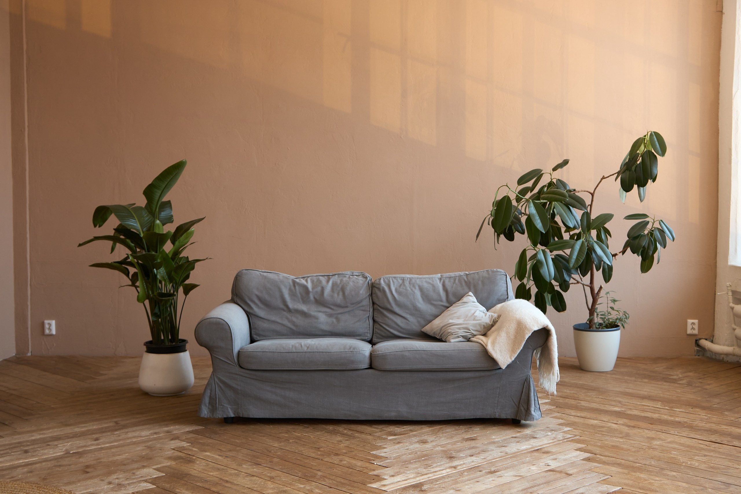 Фотостудии Ярославля