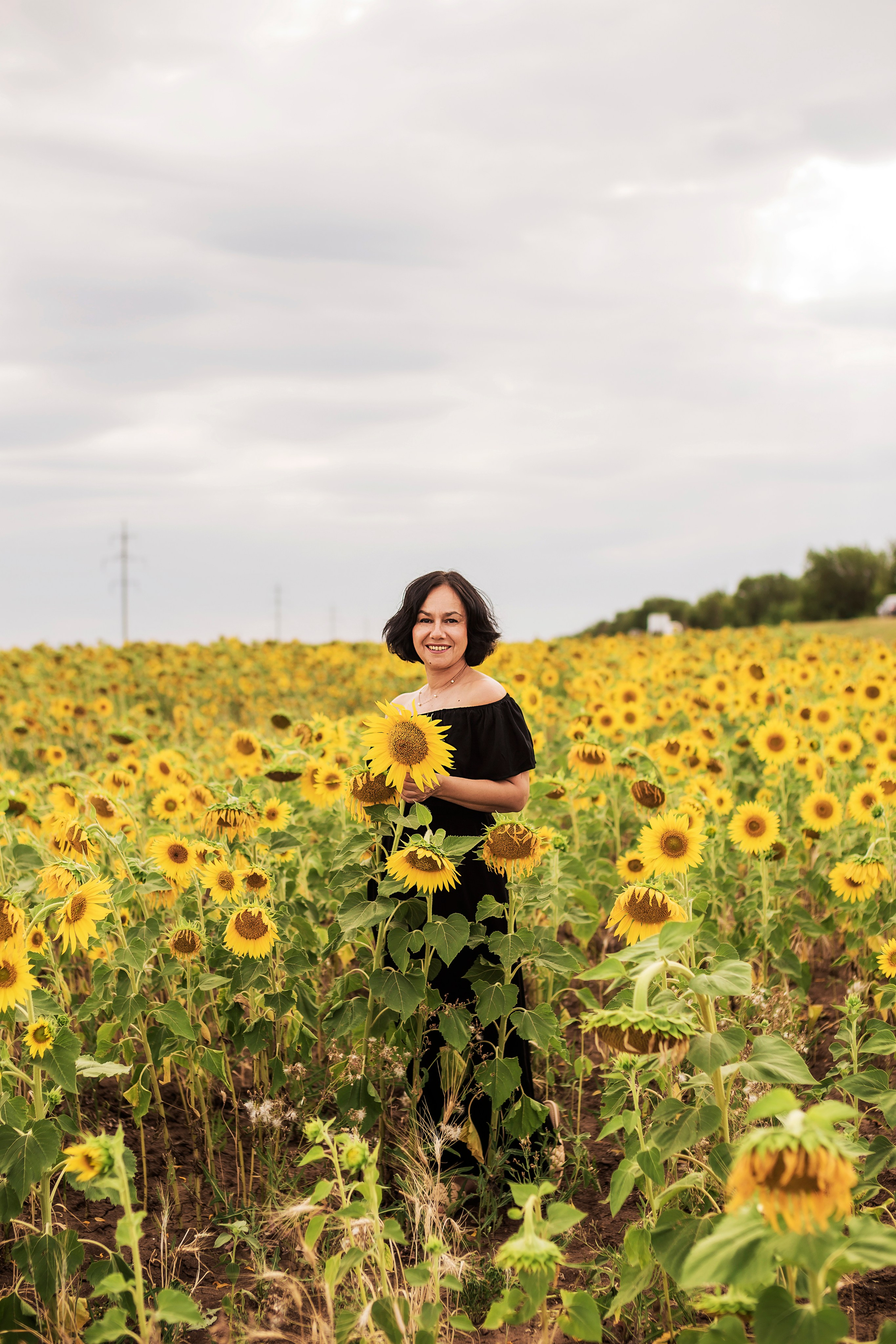 Фото в подсолнухах. Семейный фотограф в Саратове