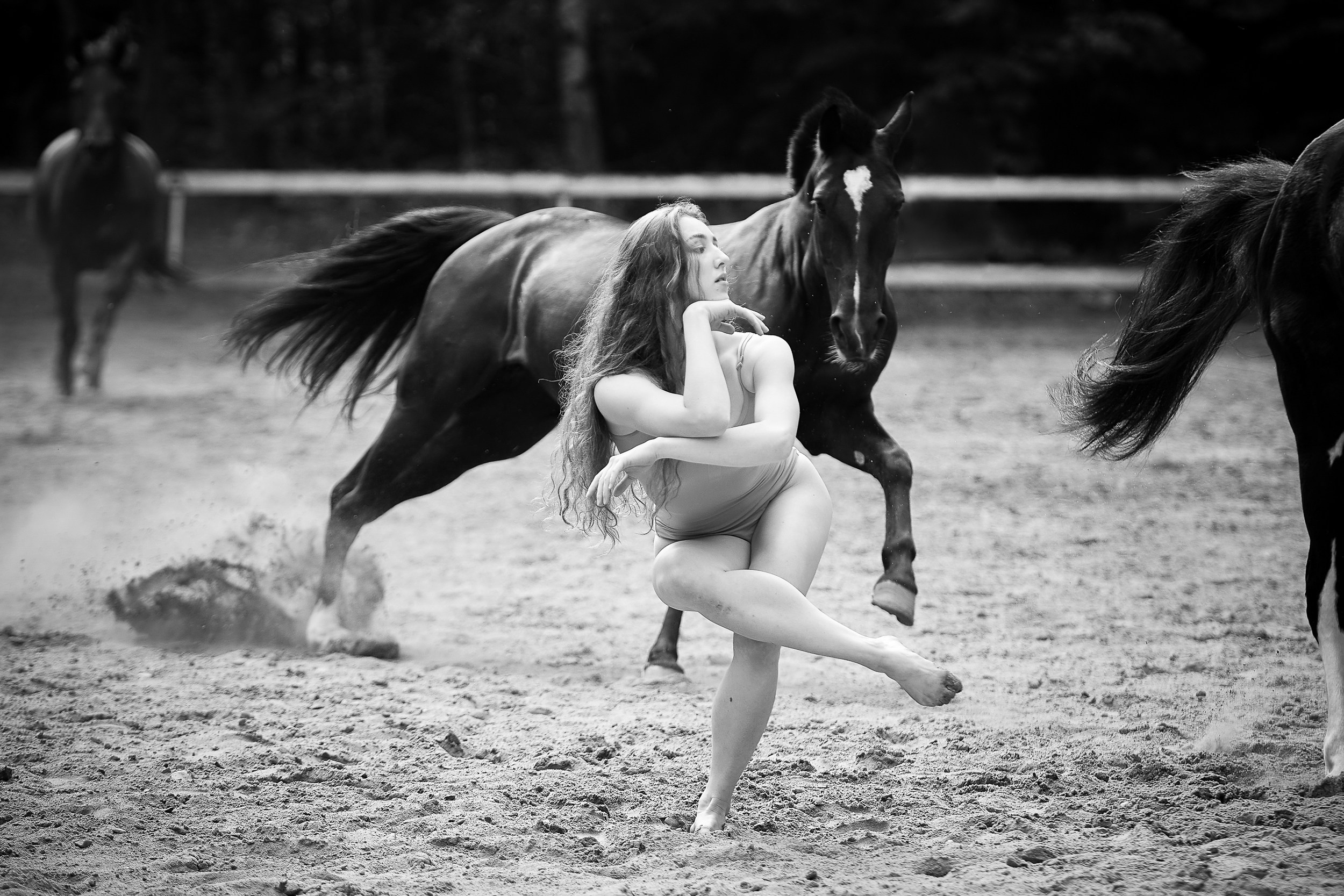 Балет и лошади, фотосессия «ГРАЦИЯ и СИЛА-1» Фотограф Михаил Семенов г. Ярославль