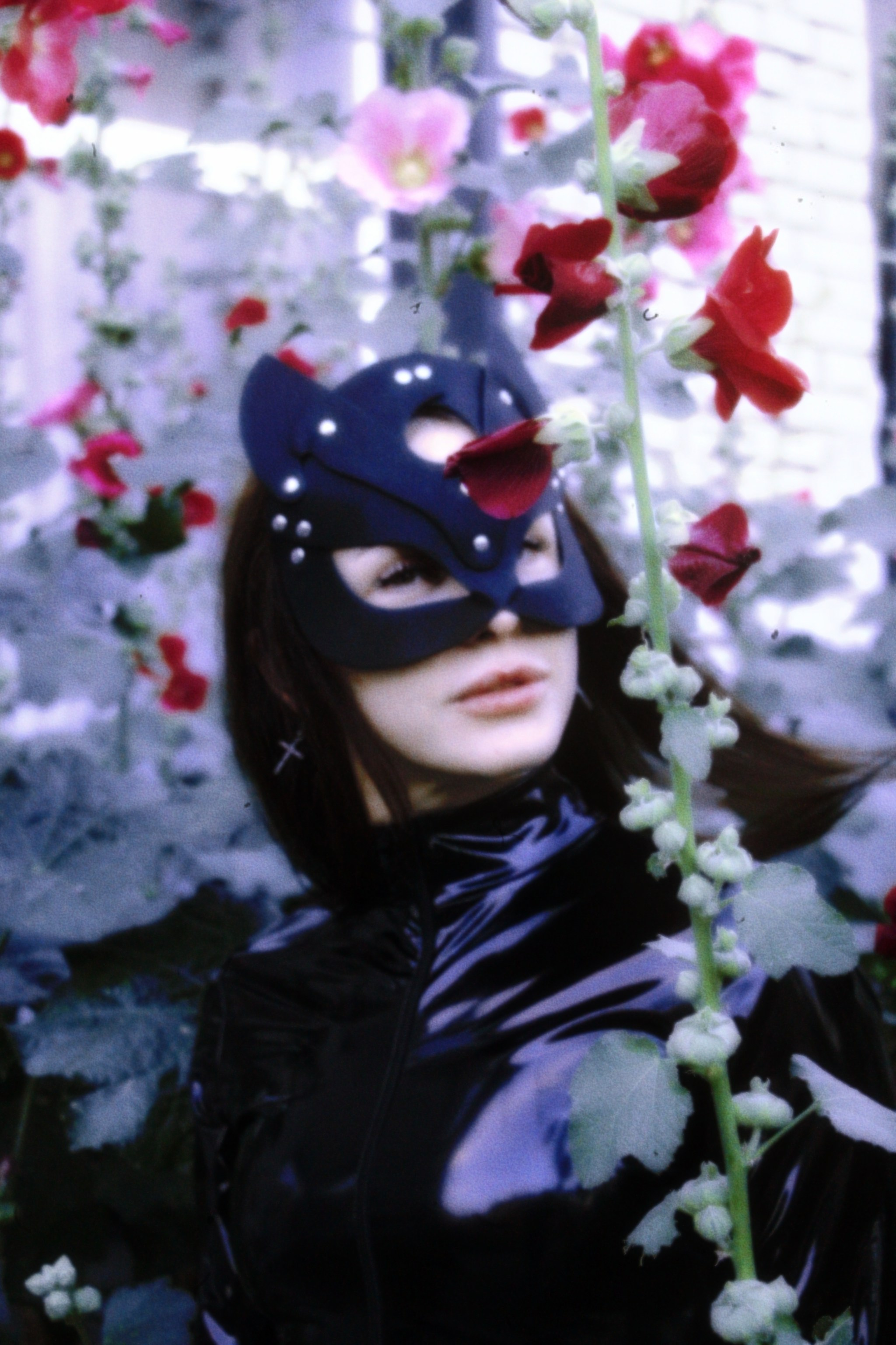 Кошка Анастасия…. Творческая, семейная Фотосъемка ДоброДарова Елена Омск