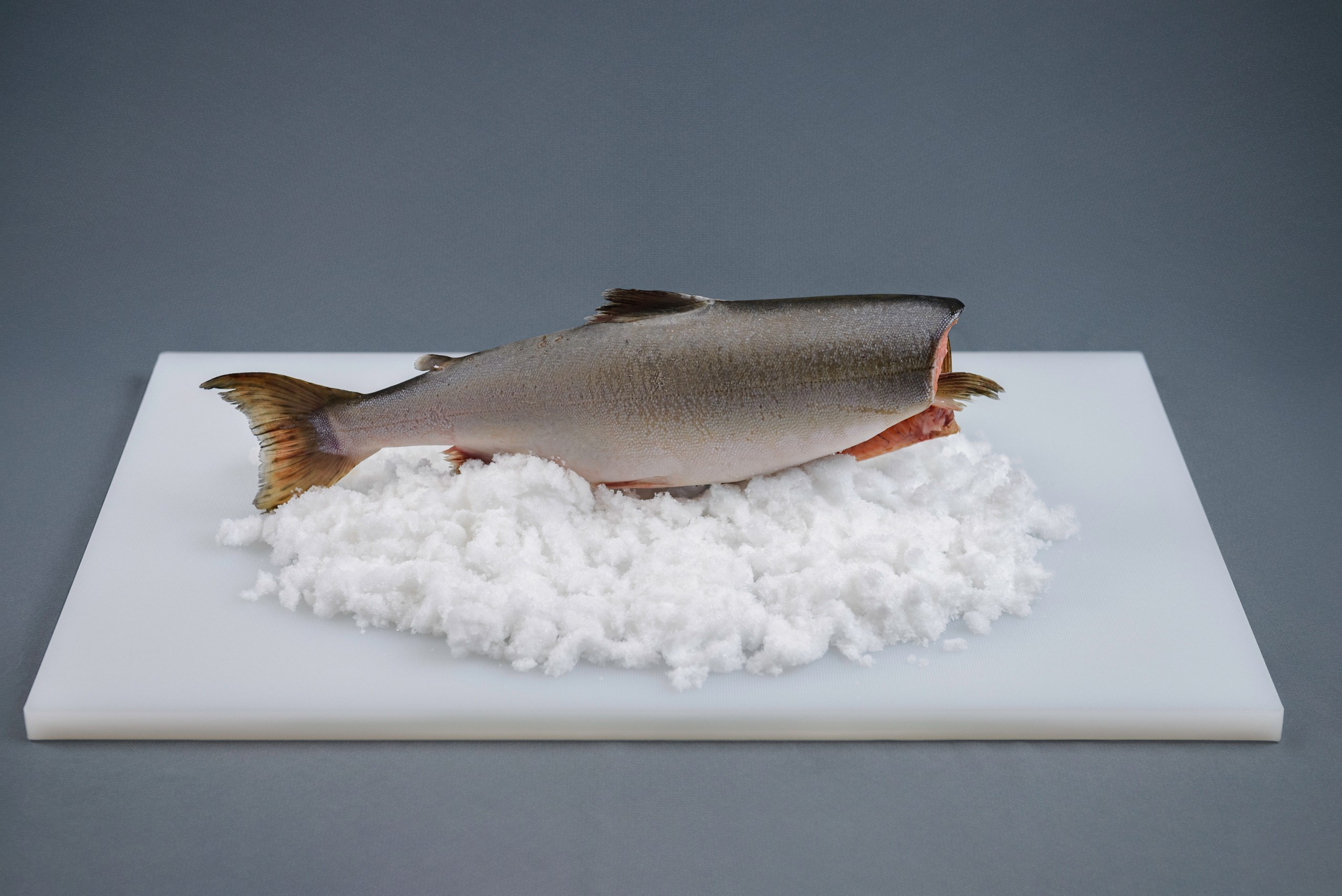 Фотосъемка морской продукции в Петропавловске-Камчатском. Профессиональная фудсъемка морепродуктов в Петропавловске-Камчатском. Фудсъемка даров моря для ресторанов в Петропавловске-Камчатском. Яркая и аппетитная фотосъемка морской еды в Петропавловске-Камчатском. Стоимость фотосъемки морепродуктов в Петропавловске-Камчатском.