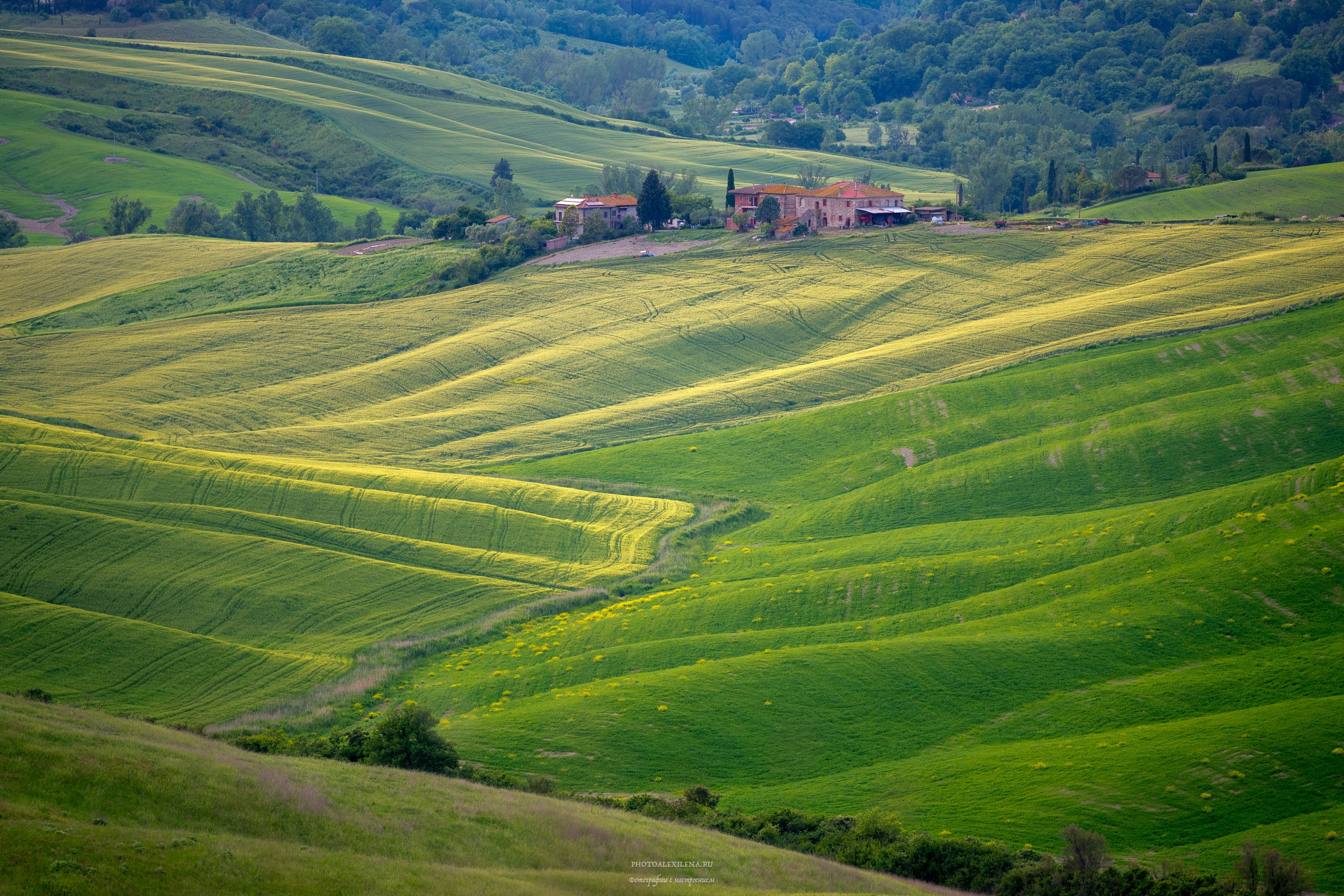 Долина Крете Сенези (Crete Senesi). Авторские стильные фотокартины