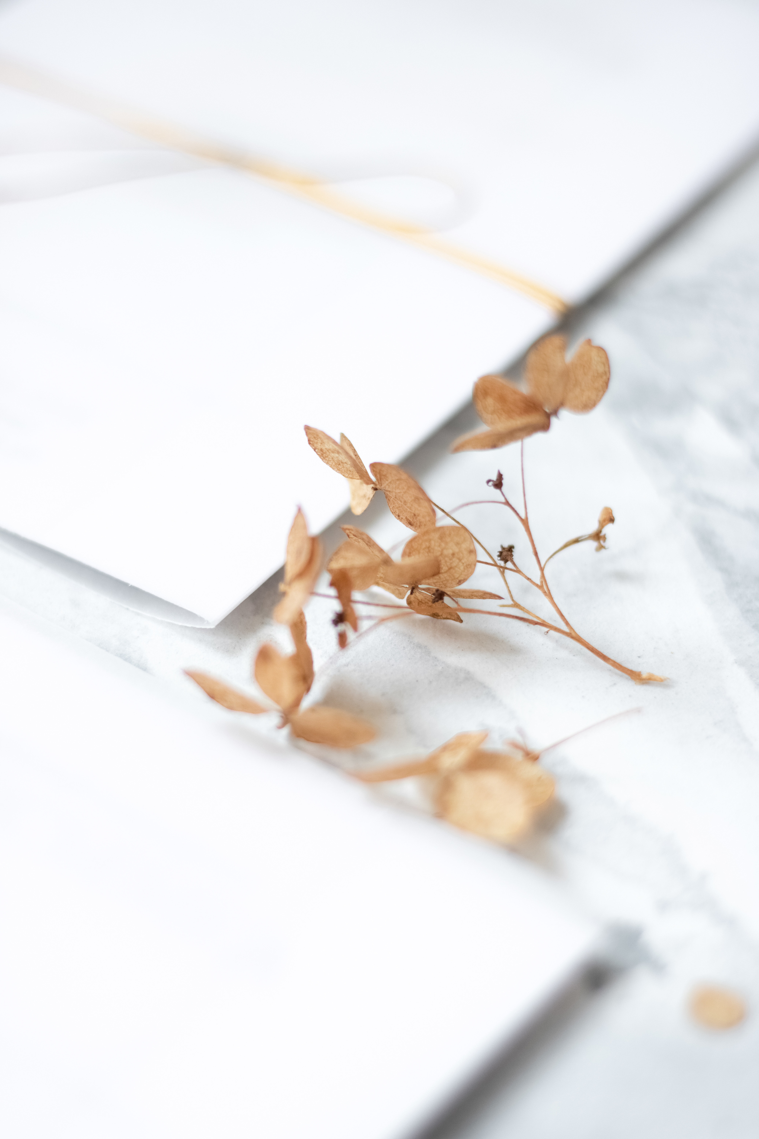 Подарочный сертификат на семейную фотосессию в Минске. Семейный фотограф в Минске и РБ Стеликова Анна