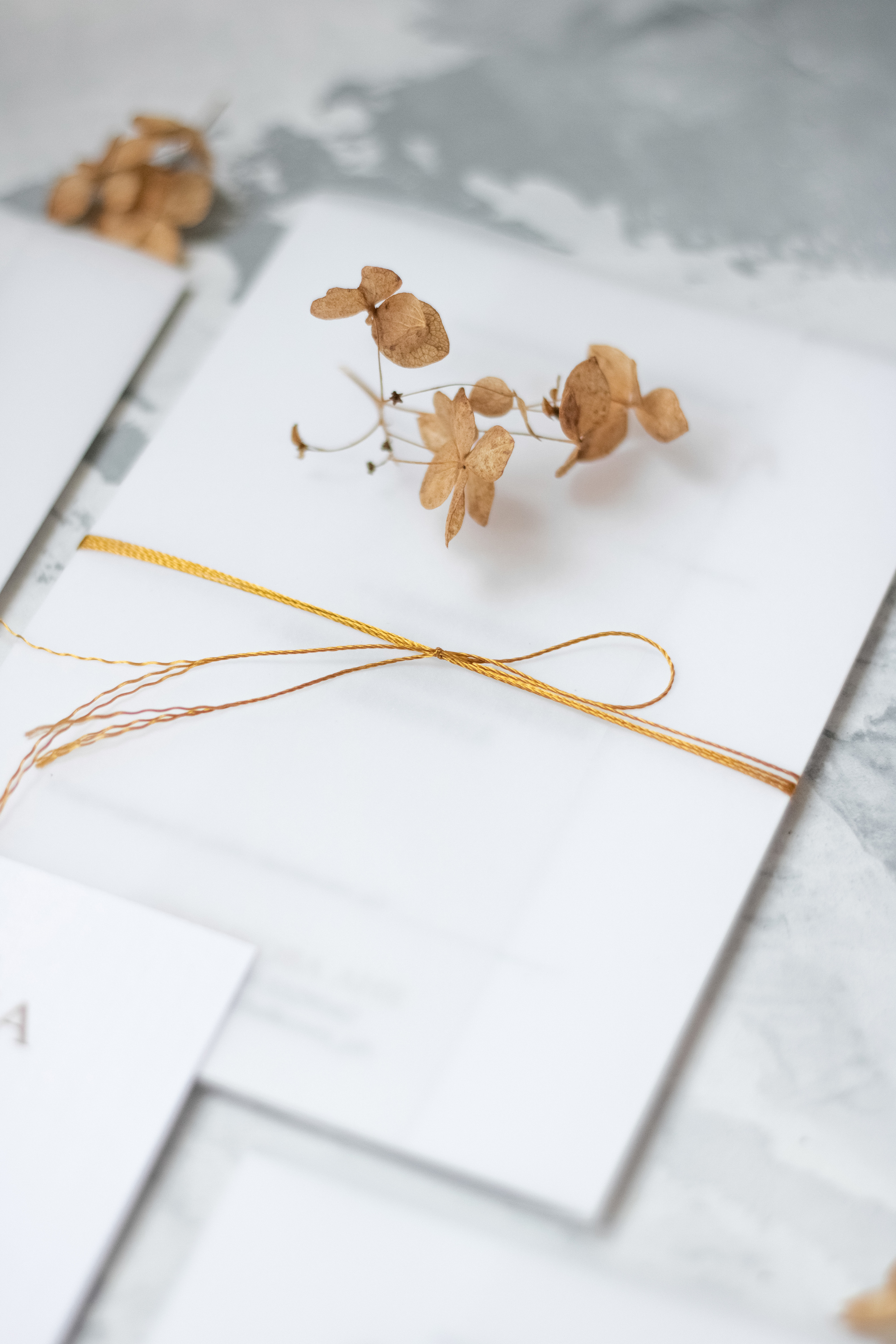 Подарочный сертификат на семейную фотосессию в Минске. Семейный фотограф в Минске и РБ Стеликова Анна